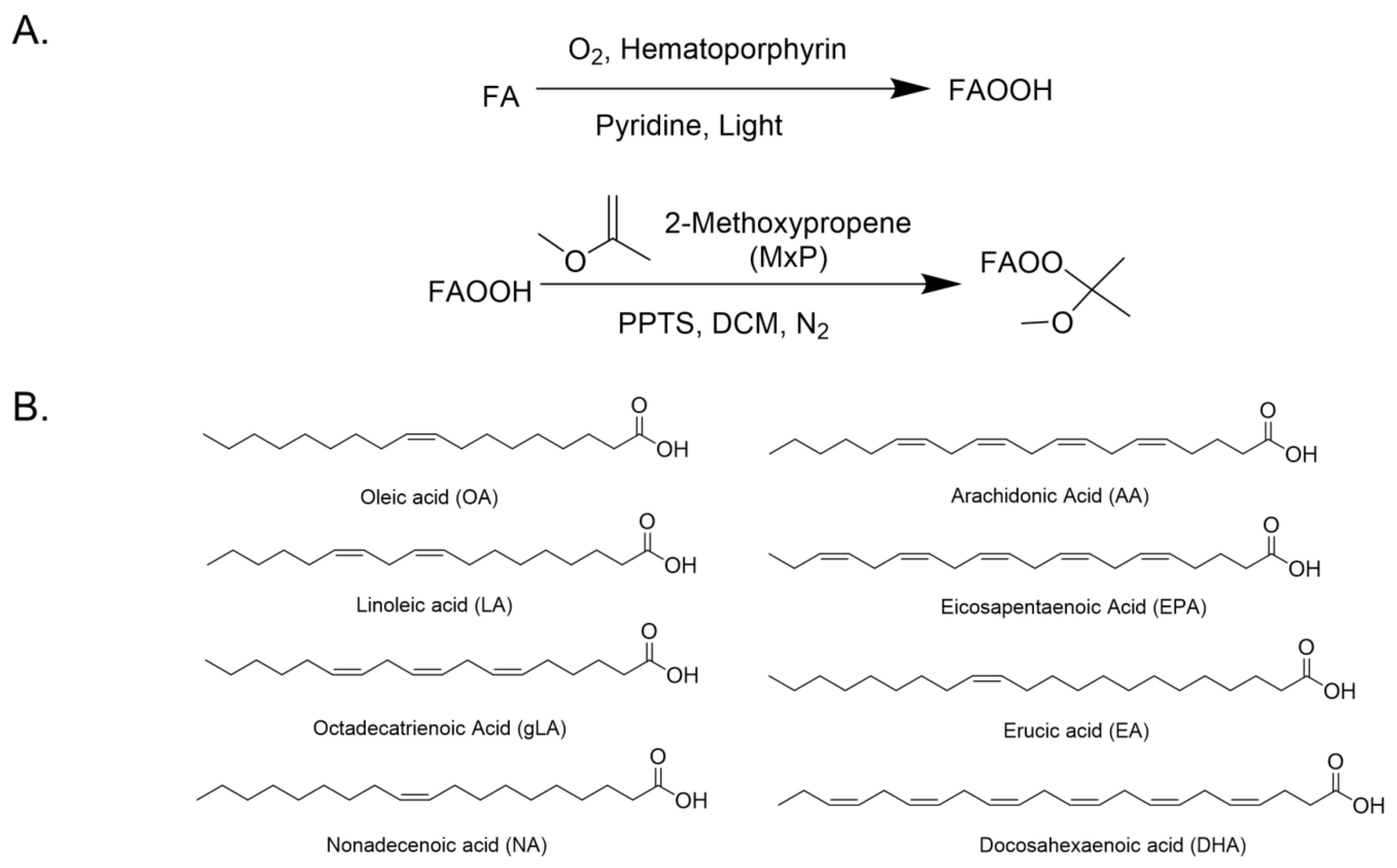 Antioxidants 11 00229 g001 Antioxidants 11 00229 g001