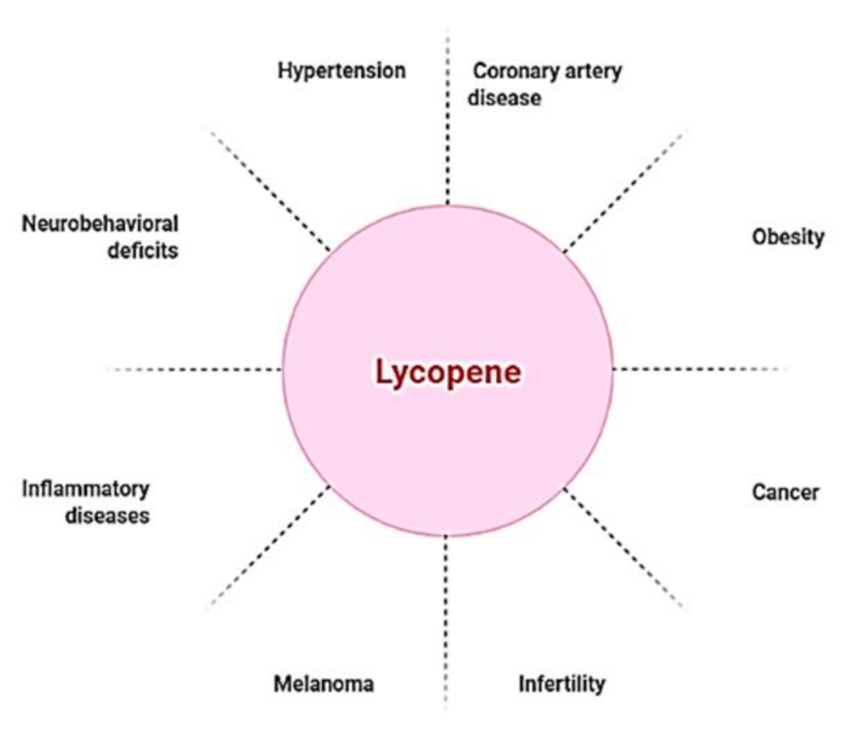 Lycopene and inflammation
