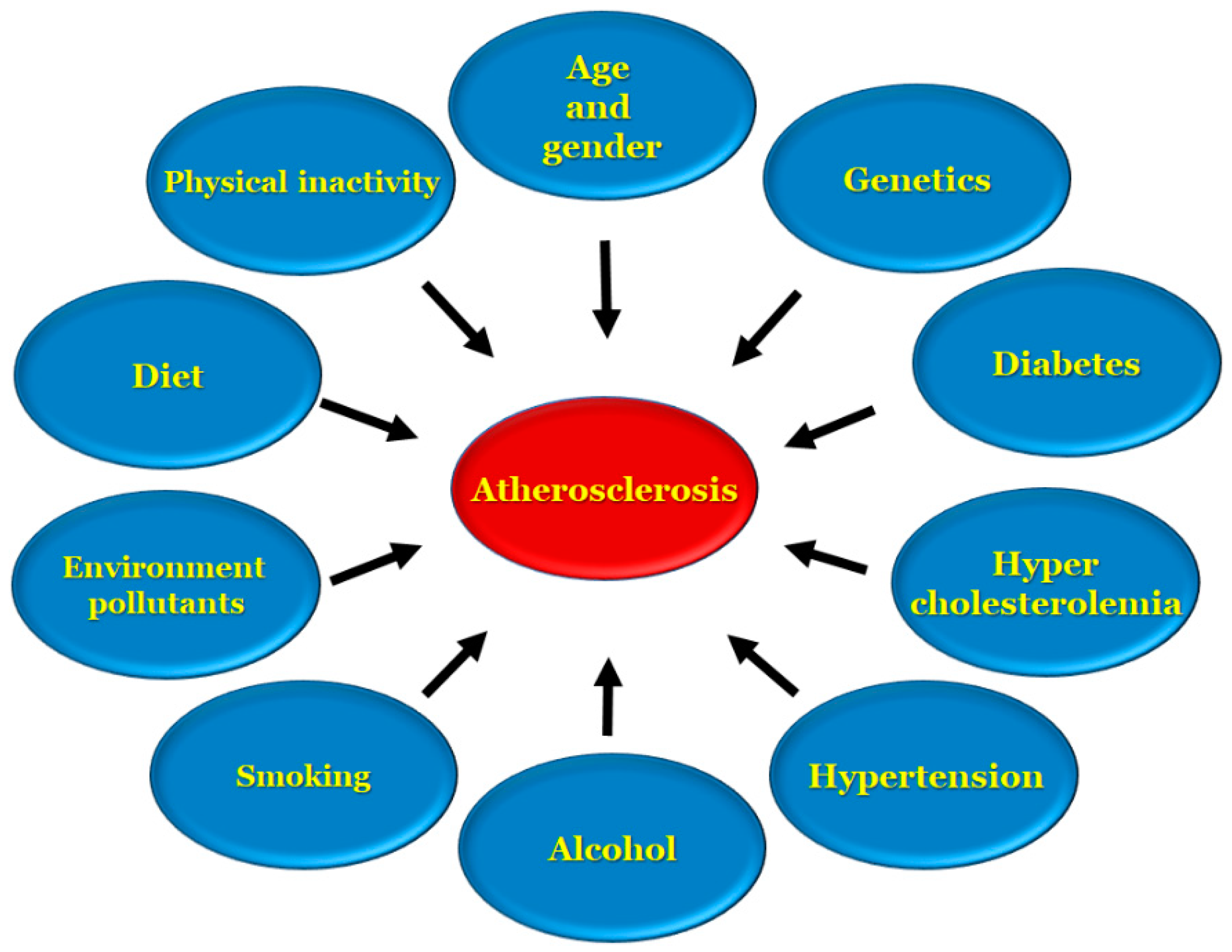 Antioxidants 11 00233 g001 Antioxidants 11 00233 g001