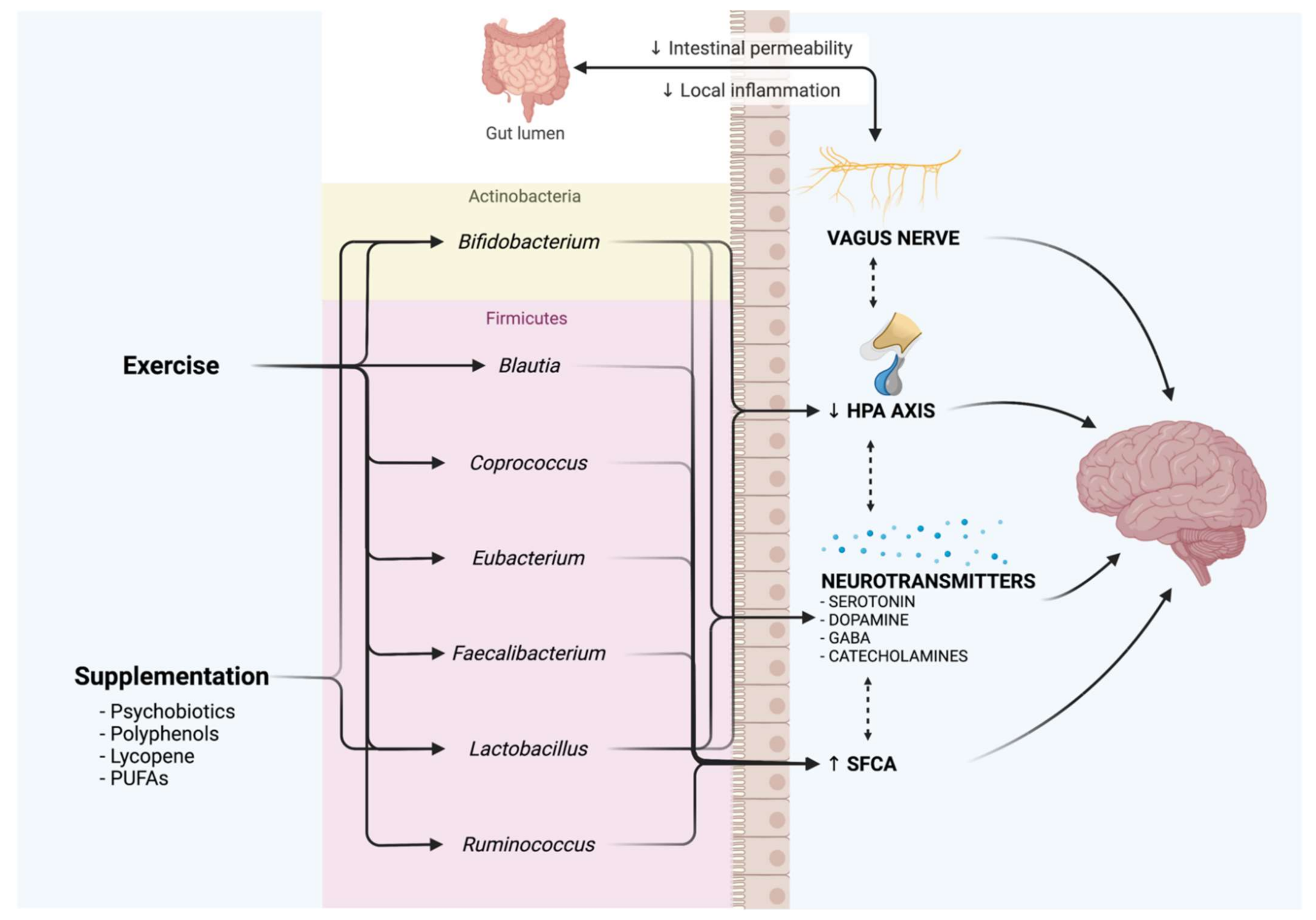 Antioxidants 11 00236 g001