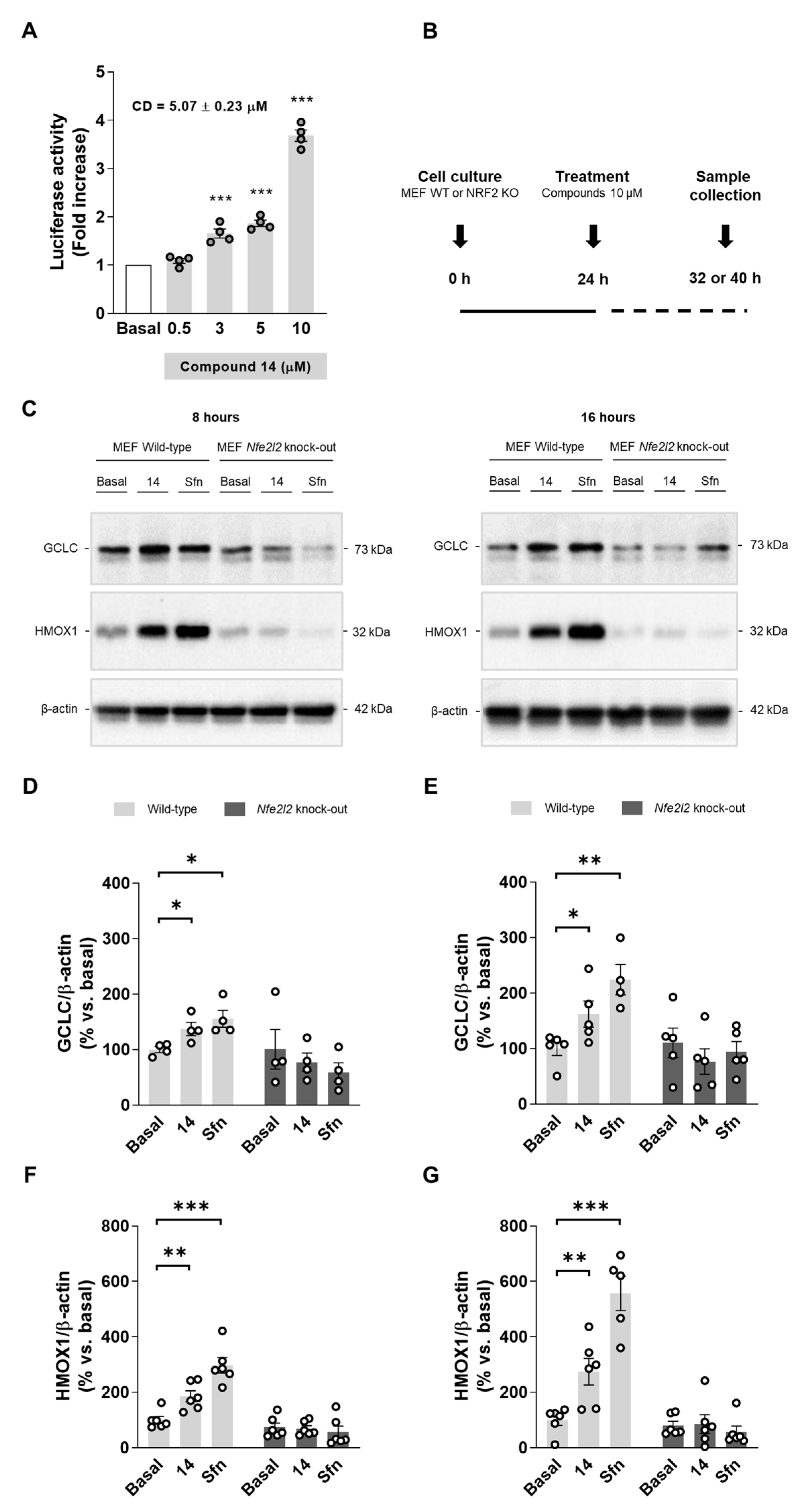 Antioxidants 11 00247 g002