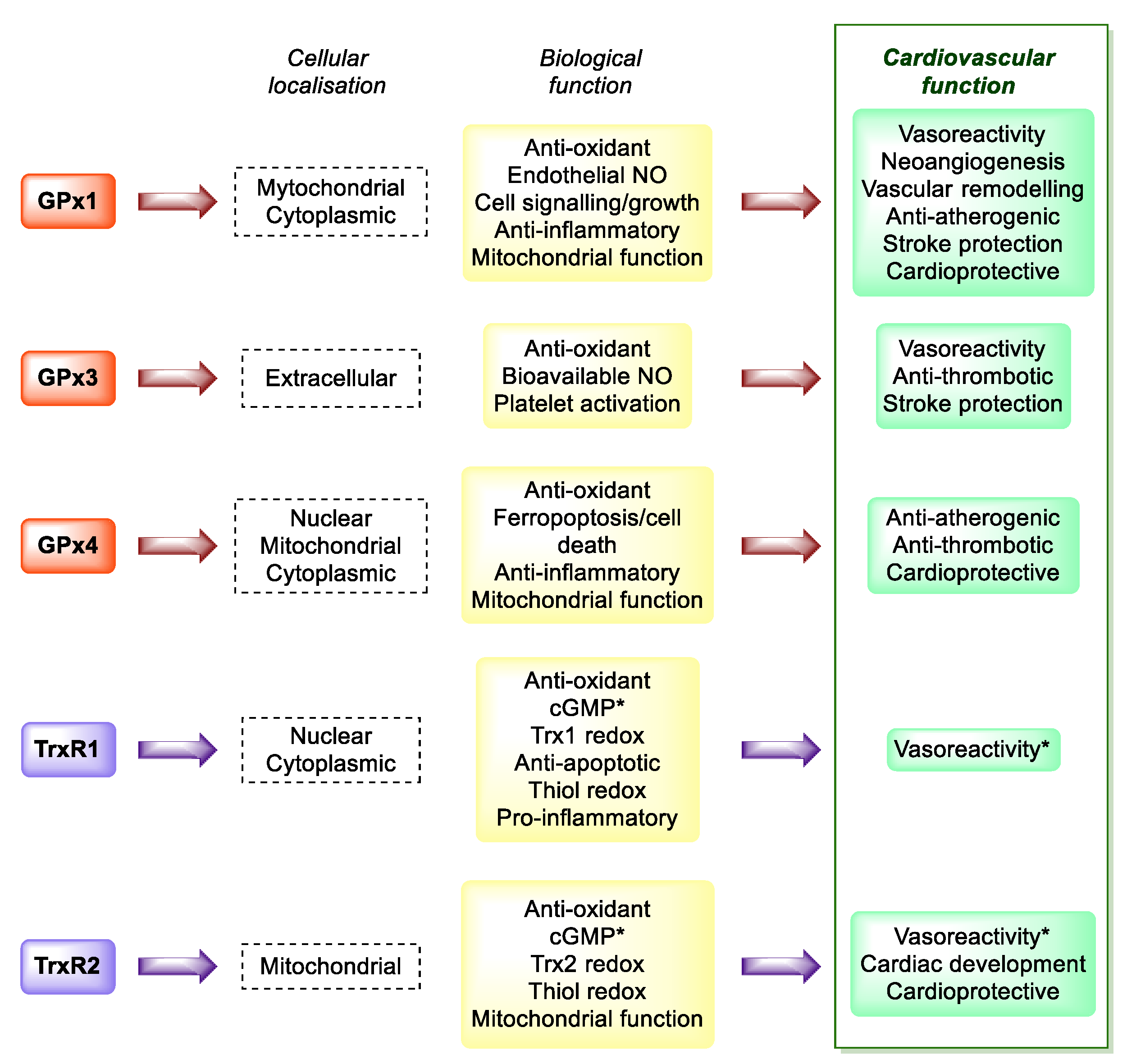 Antioxidants 11 00251 g005
