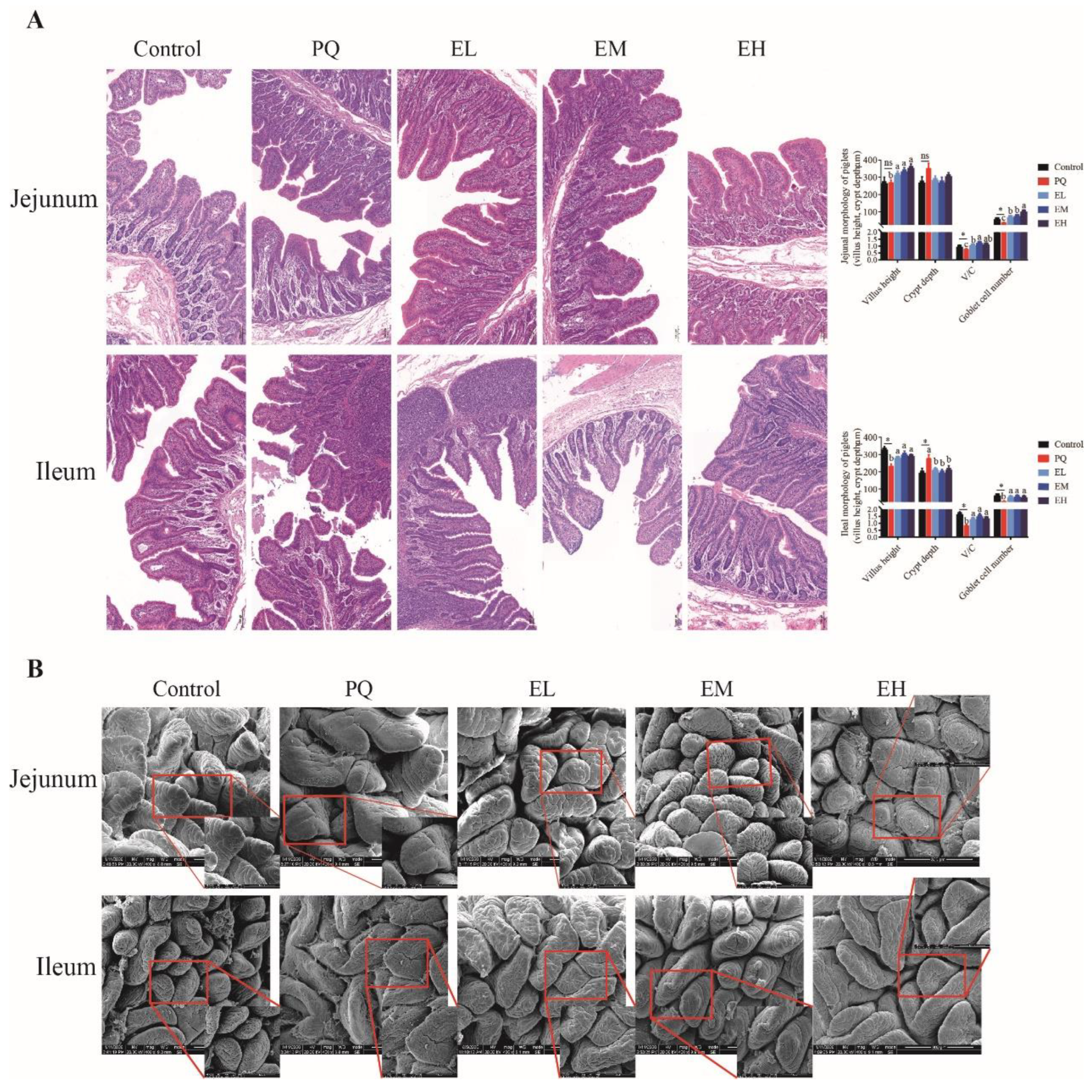 Antioxidants 11 00252 g003 Antioxidants 11 00252 g003