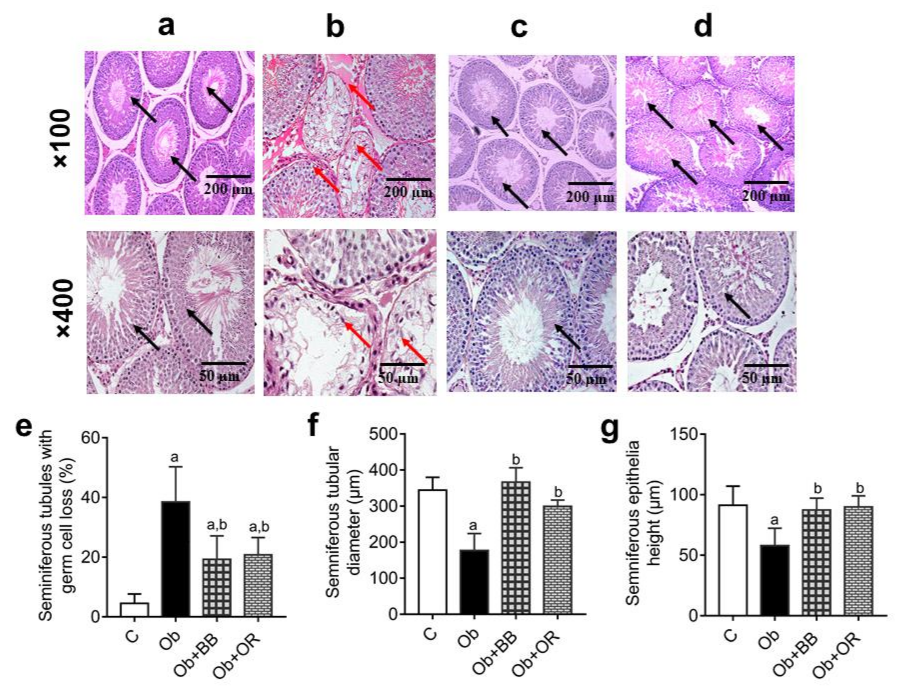 Antioxidants 11 00255 g001