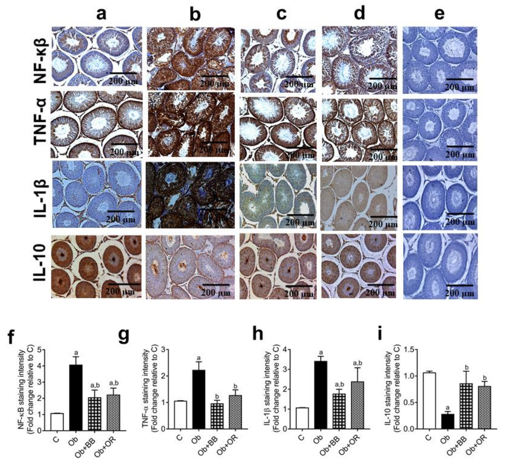 Antioxidants 11 00255 g004