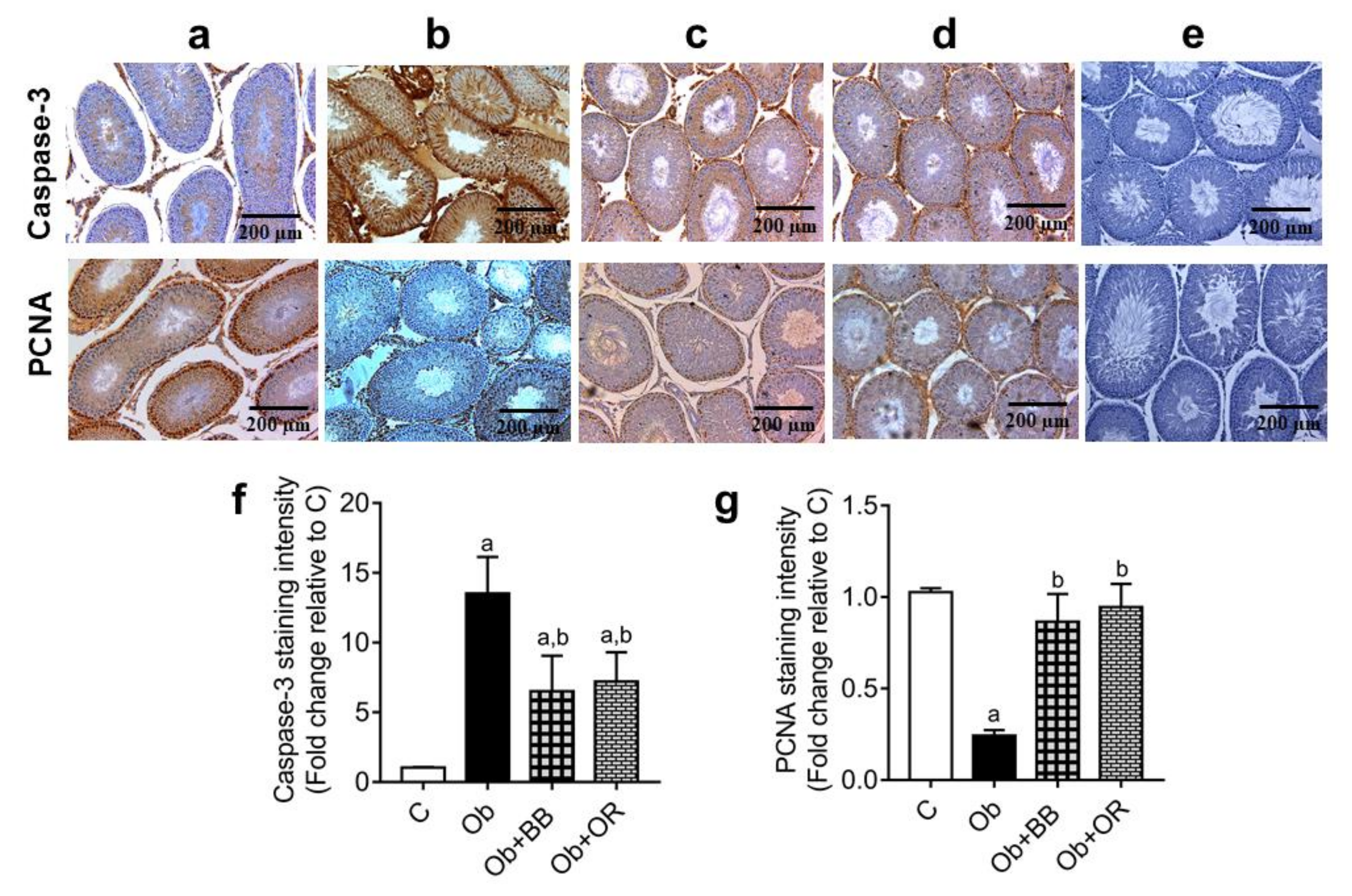 Antioxidants 11 00255 g006