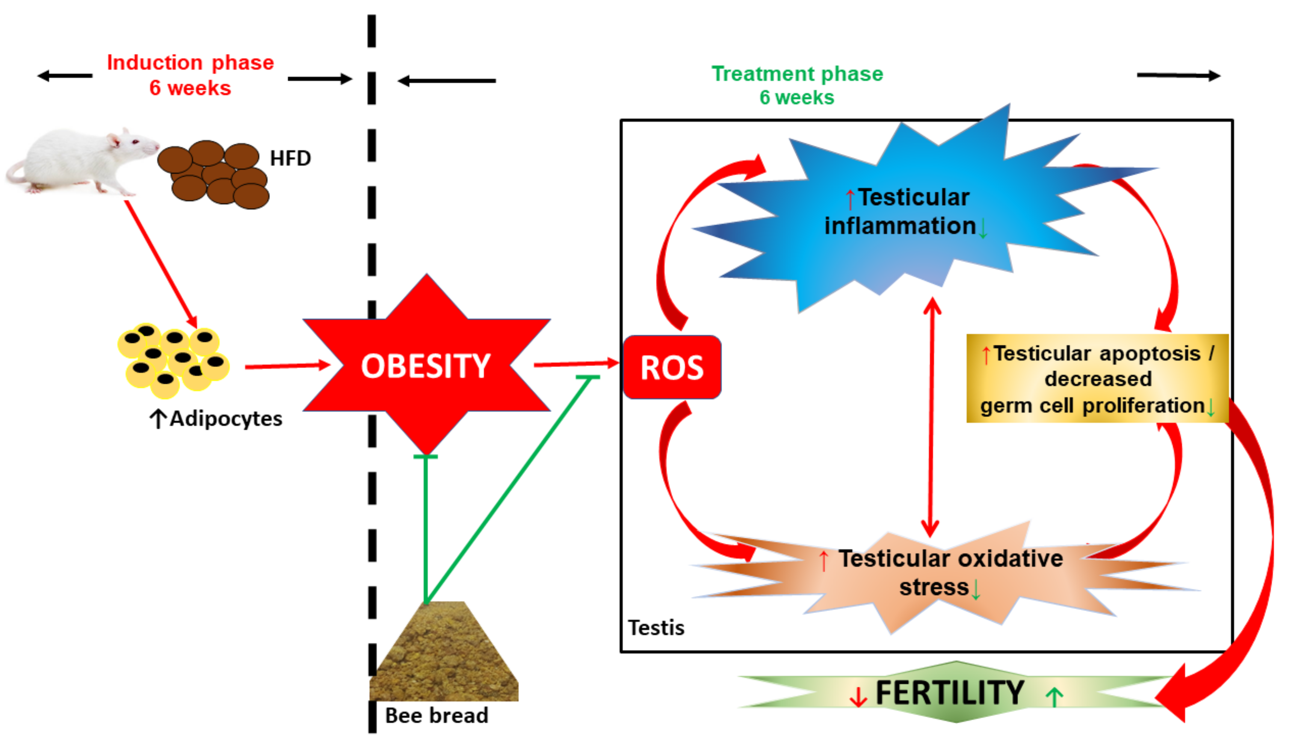 Antioxidants 11 00255 g007