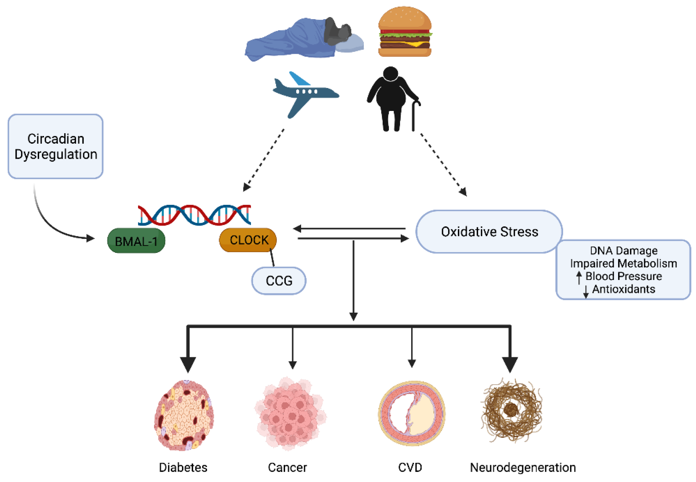 Antioxidants 11 00256 g003