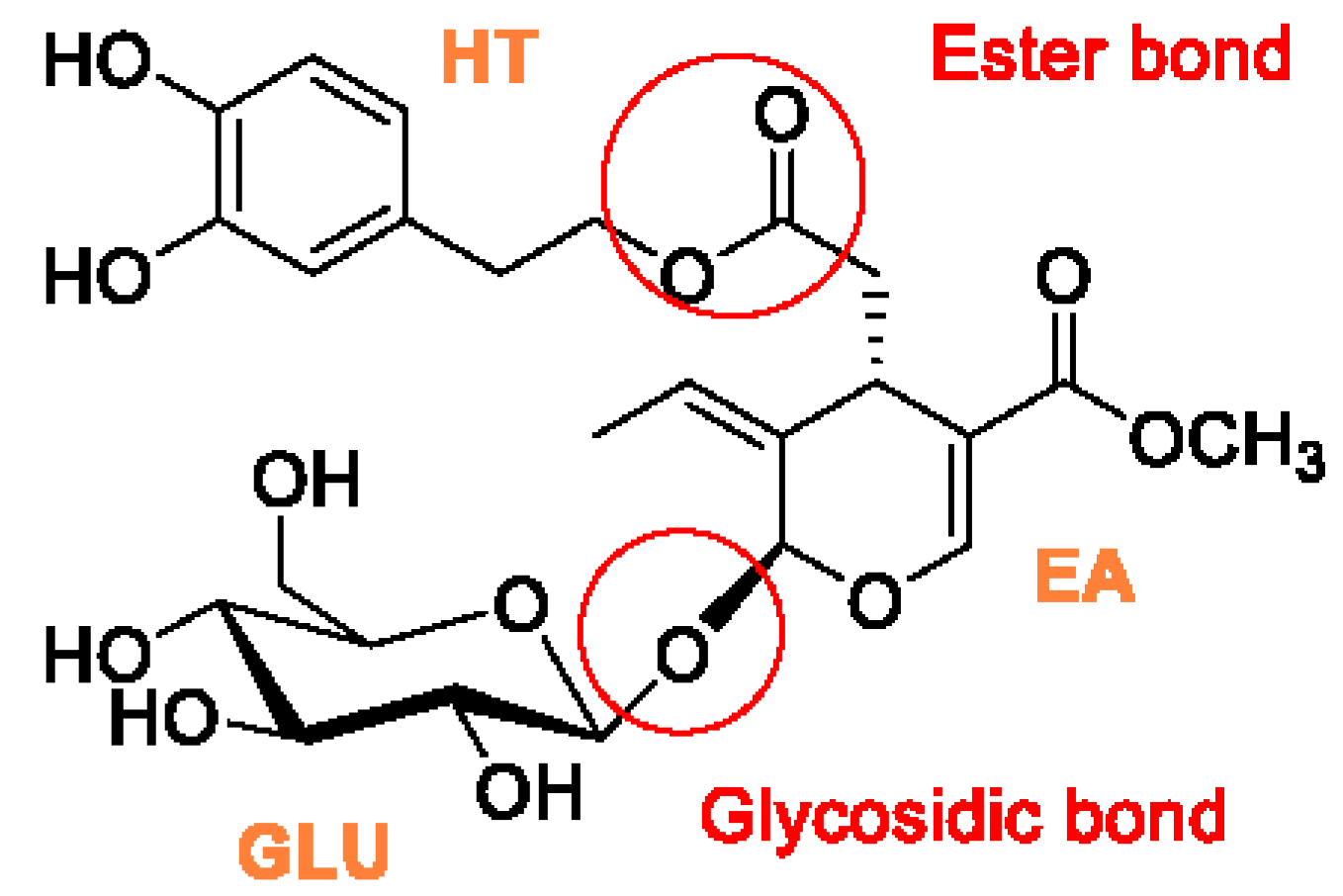 Antioxidants 11 00260 g001