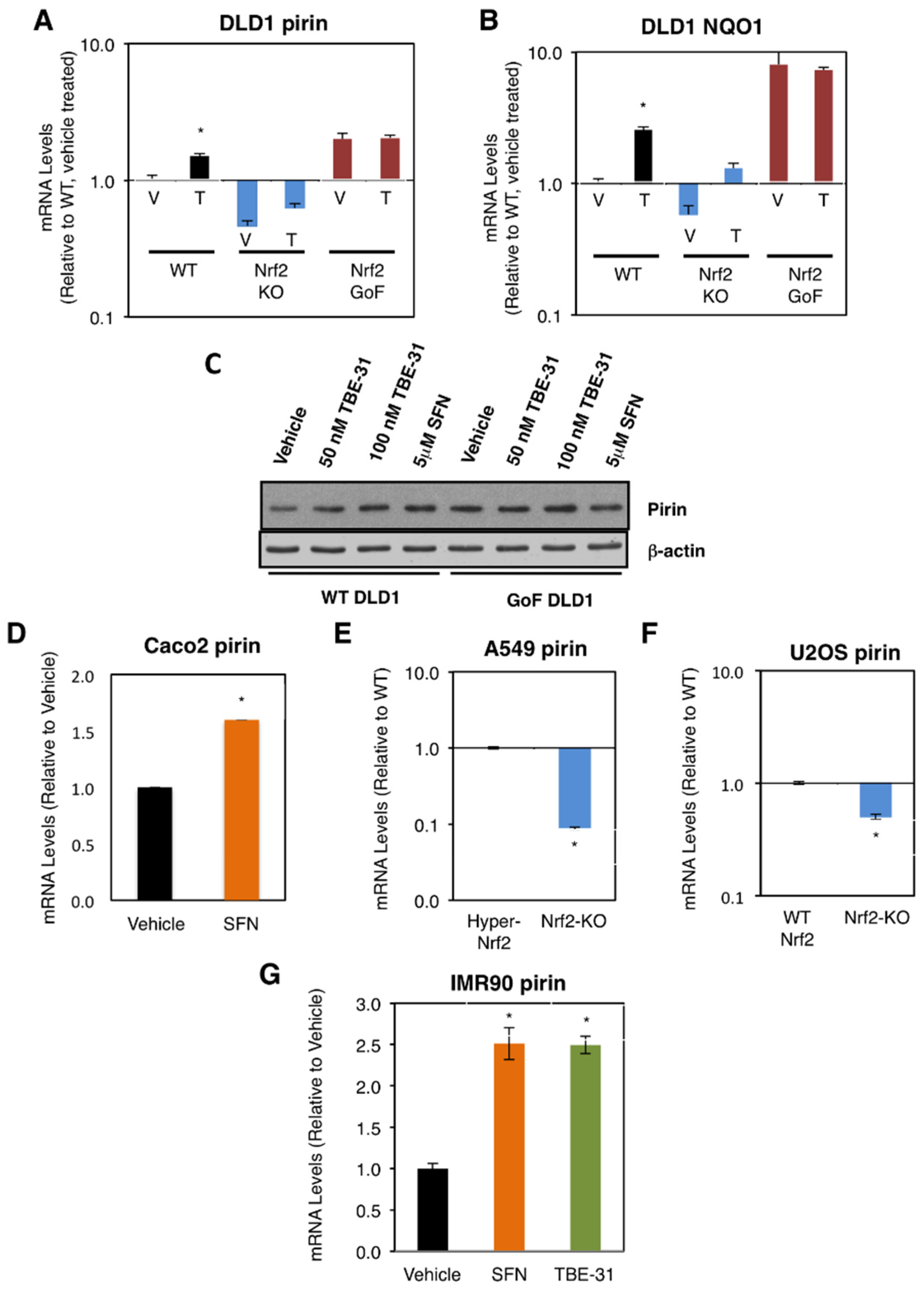 Antioxidants 11 00262 g001 550