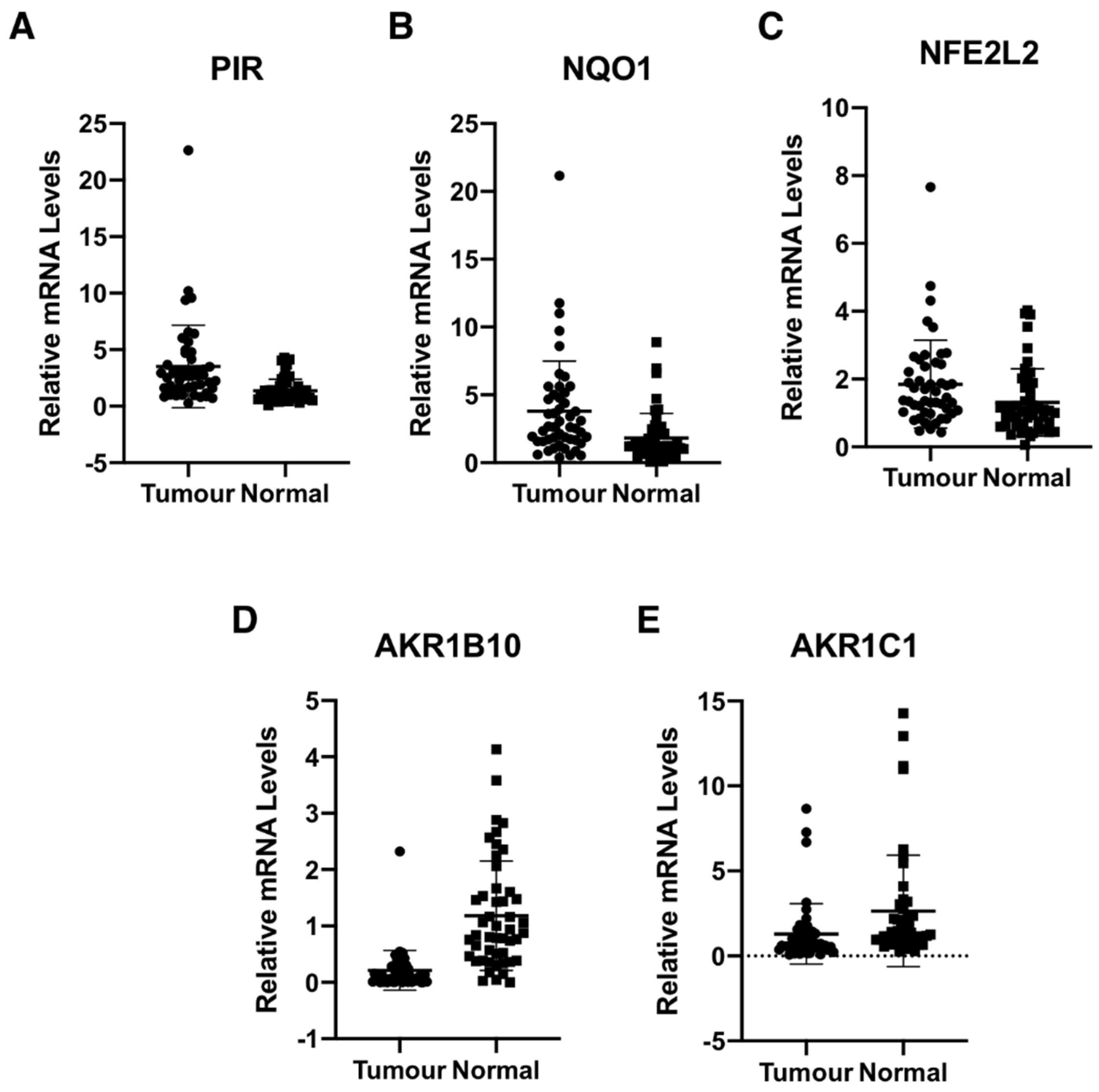 Antioxidants 11 00262 g003 550