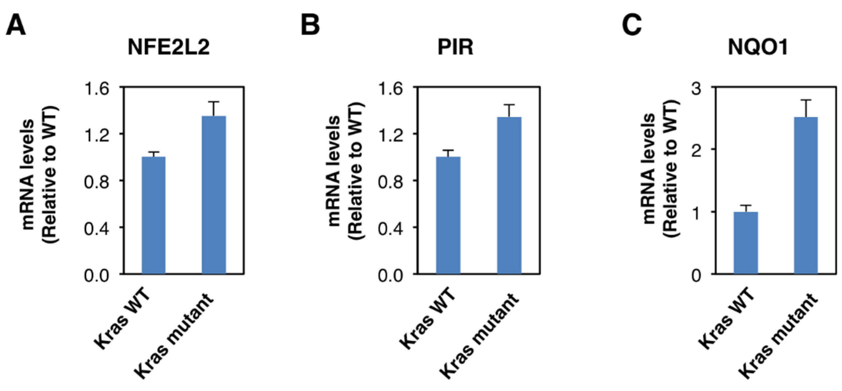 Antioxidants 11 00262 g004 550