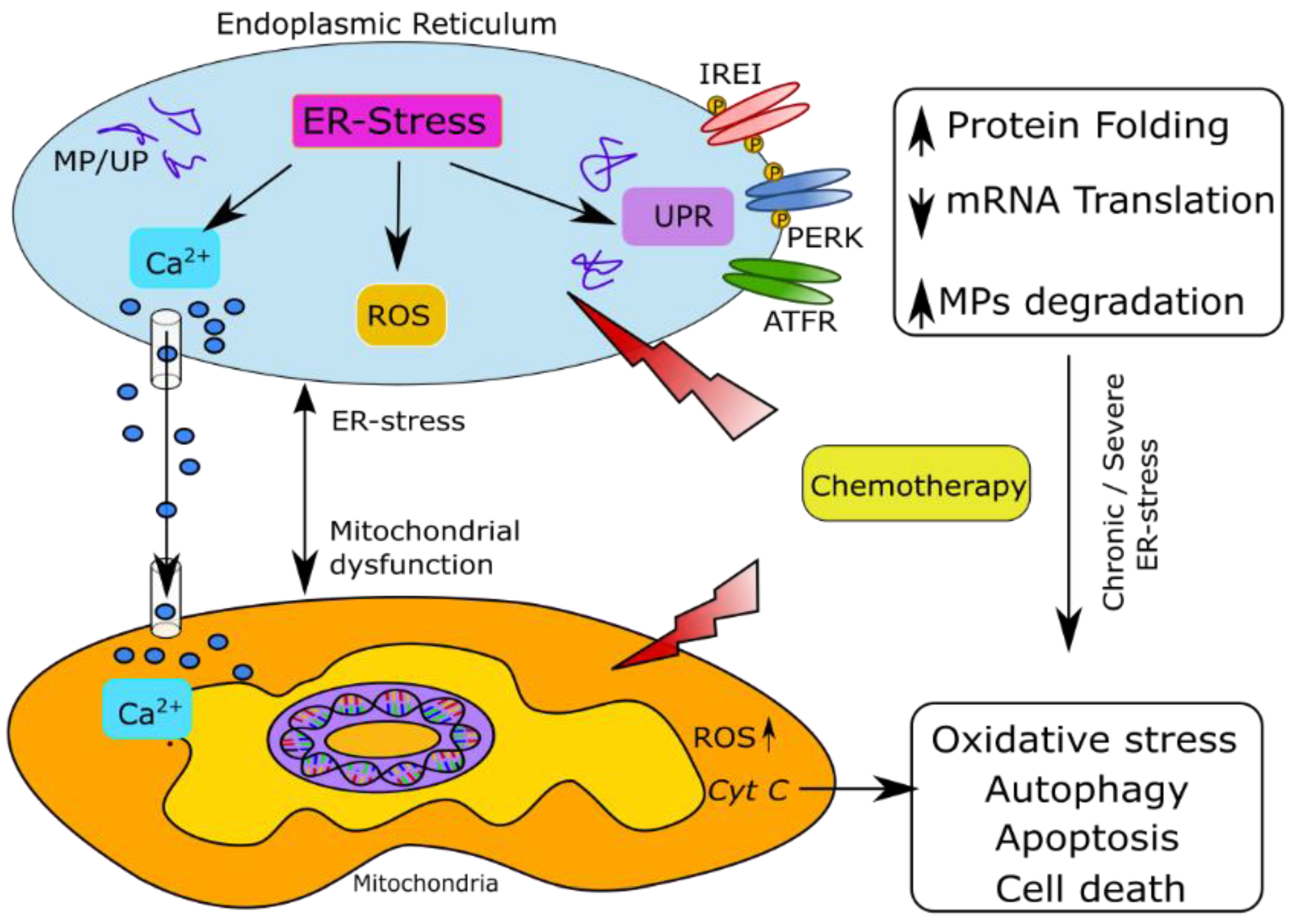 Antioxidants 11 00265 g001