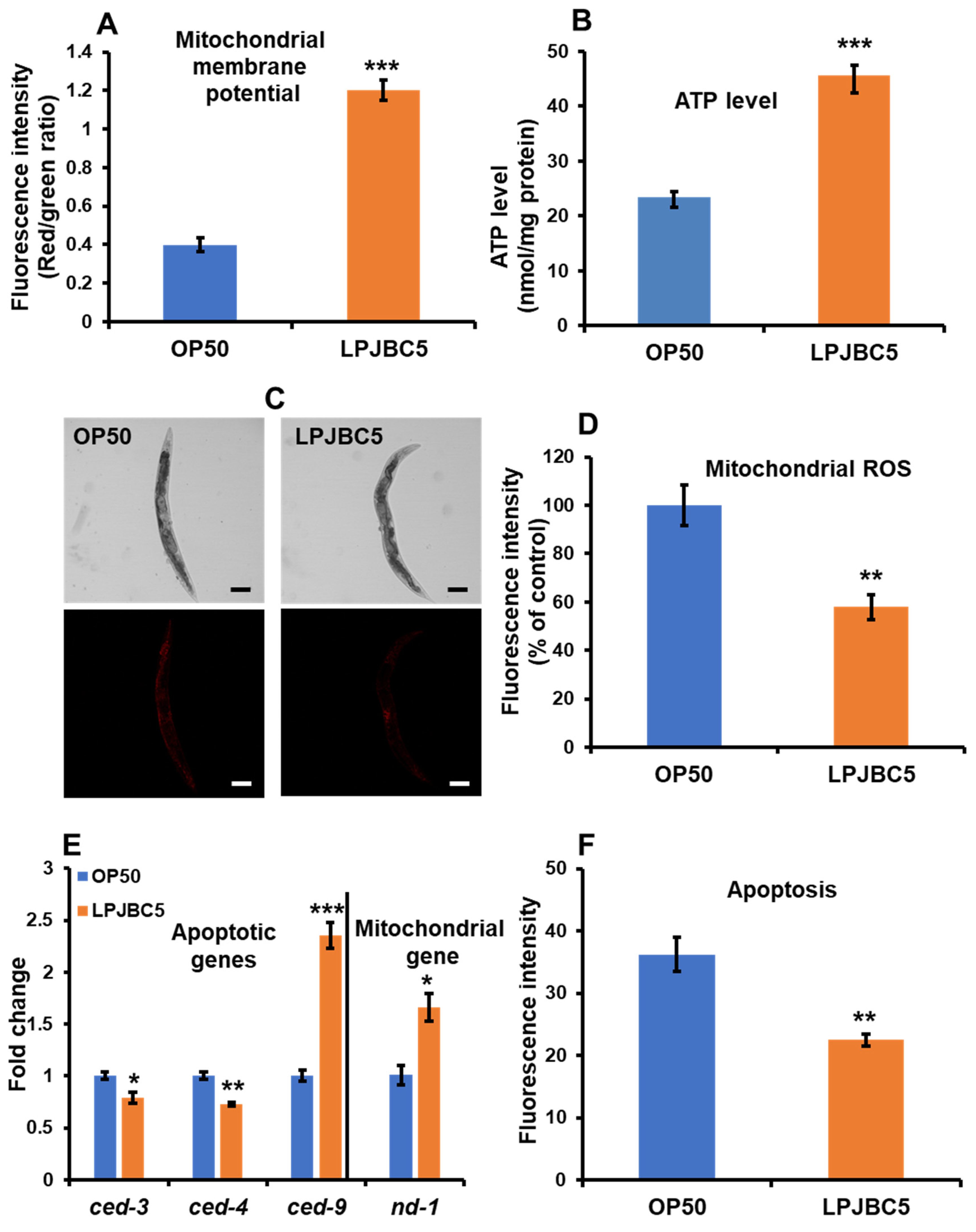 Antioxidants 11 00268 g007