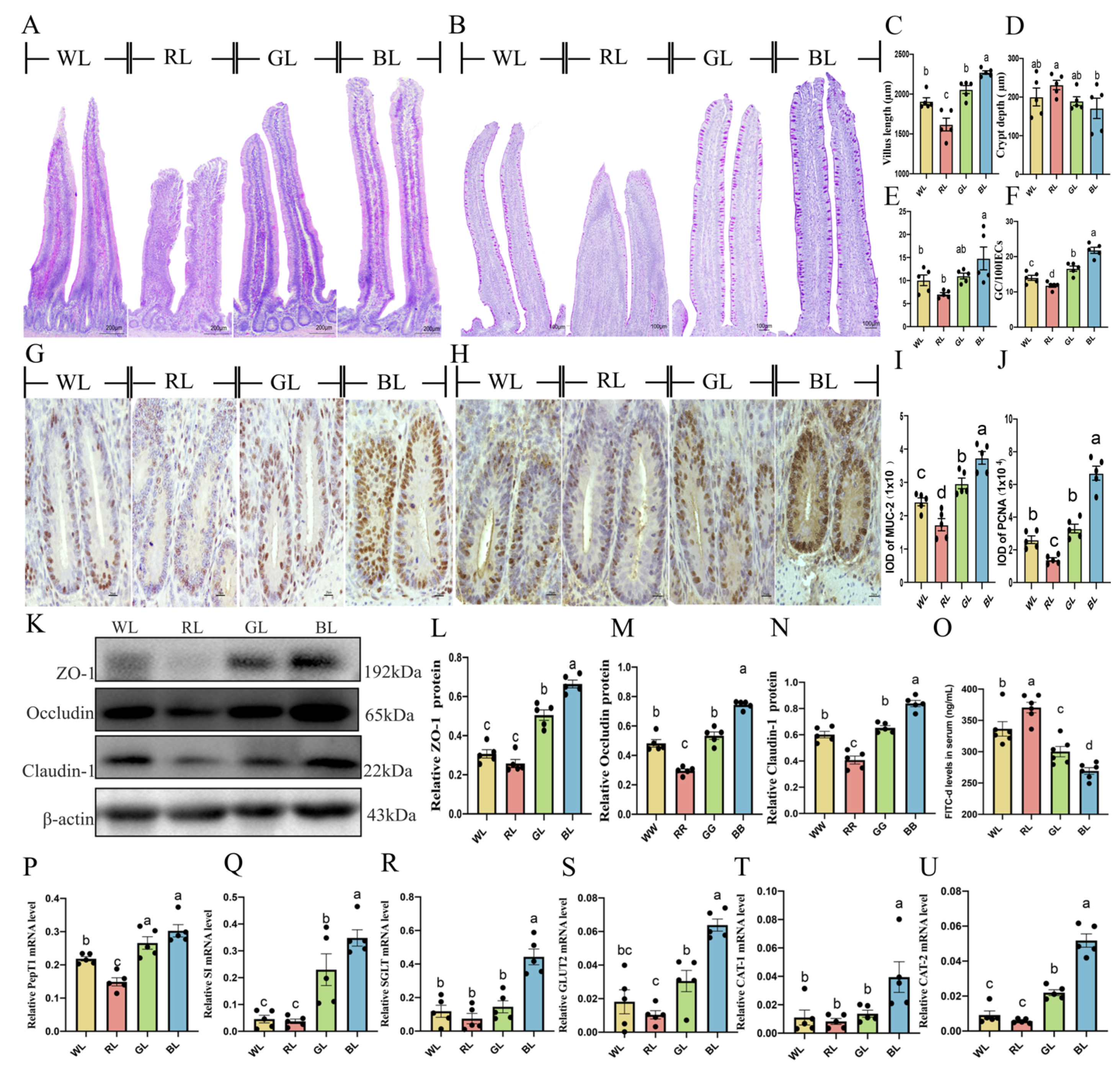 Antioxidants 11 00274 g007 550