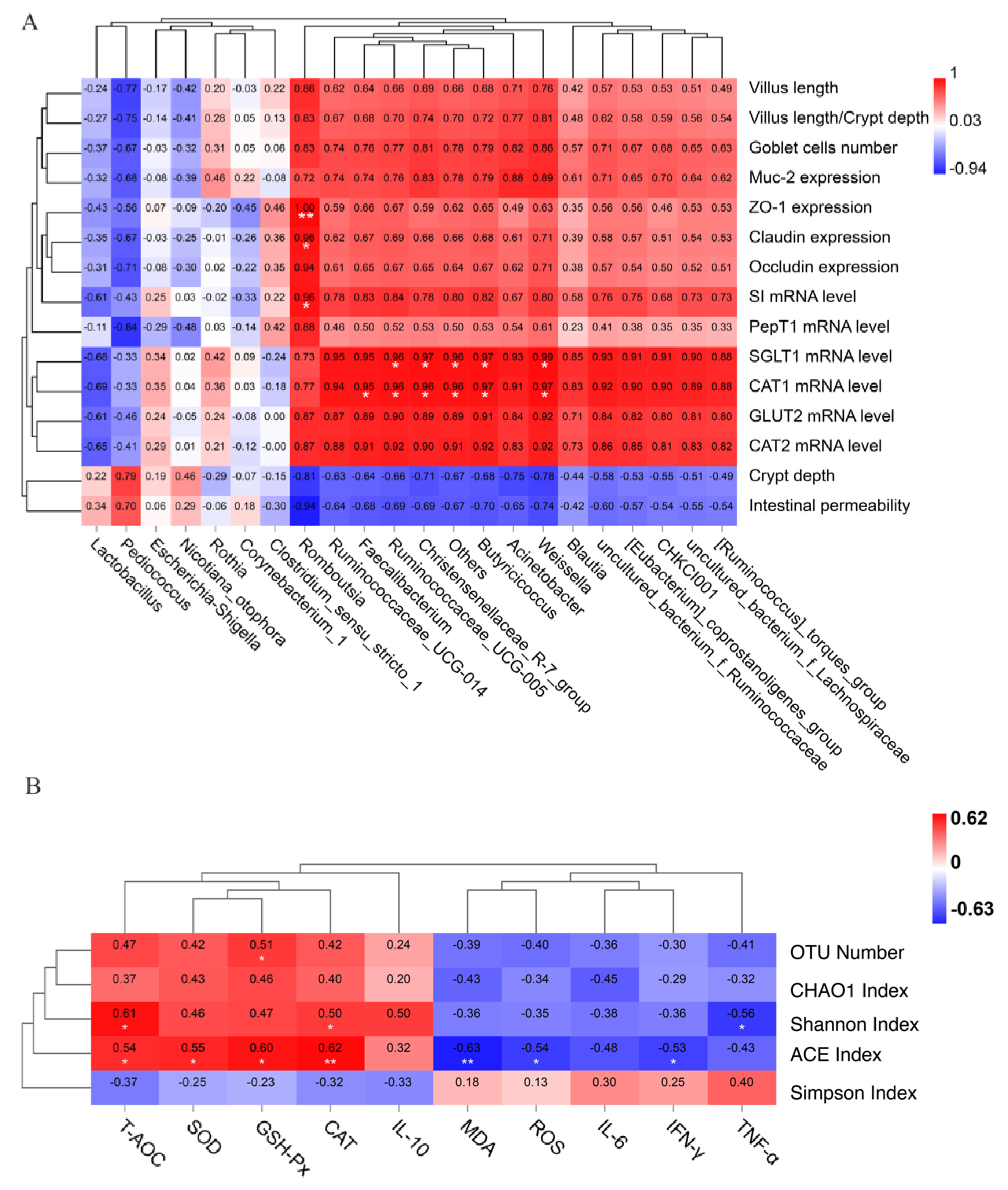 Antioxidants 11 00274 g008 550