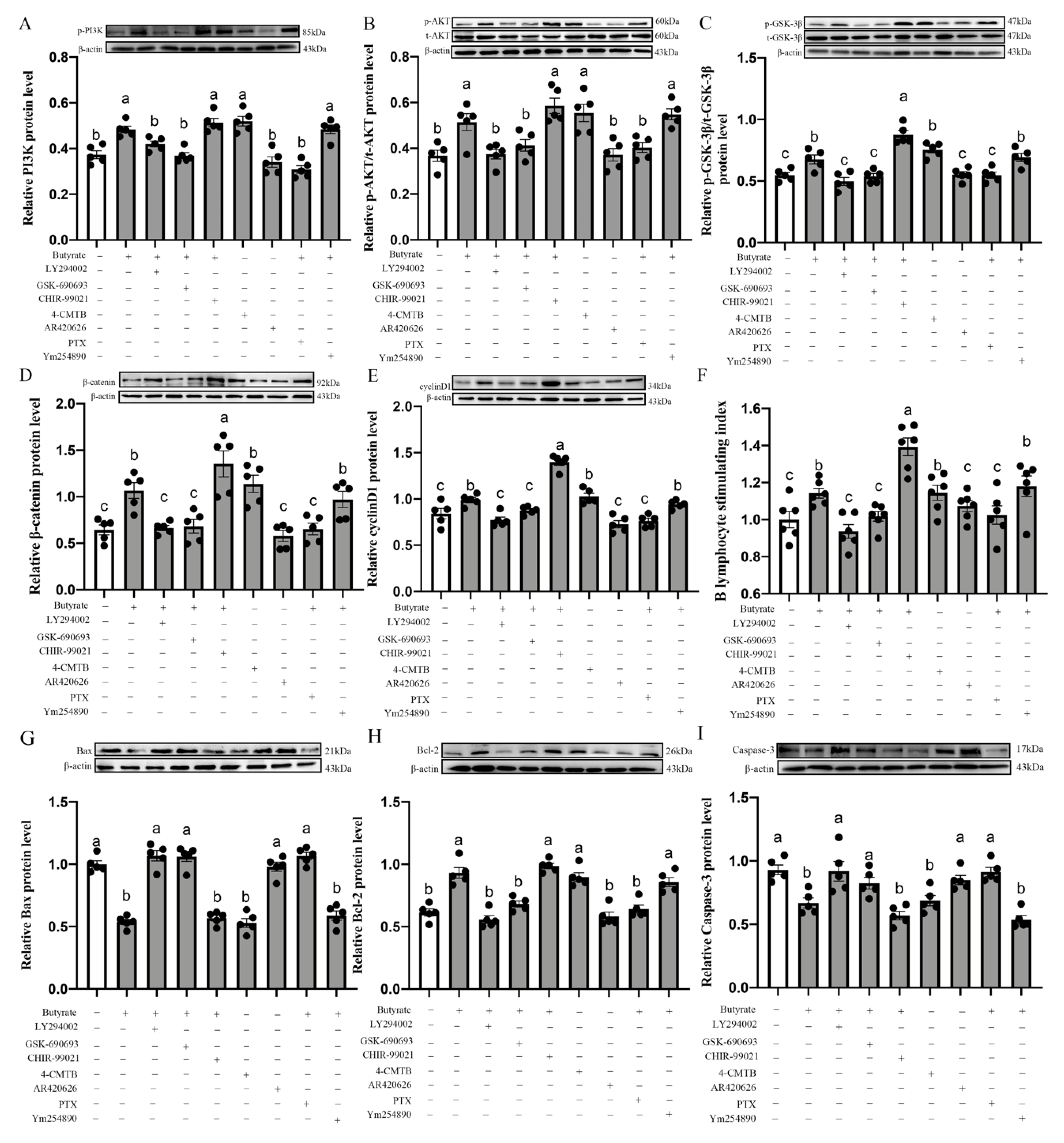 Antioxidants 11 00274 g009 550