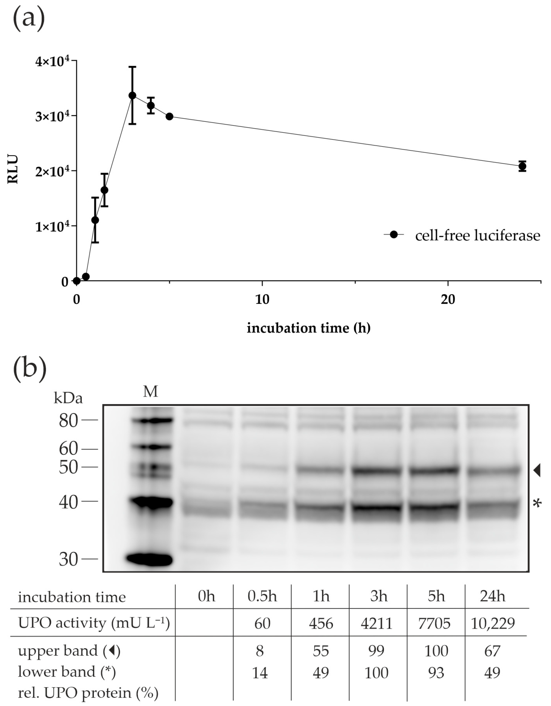 Antioxidants 11 00284 g004