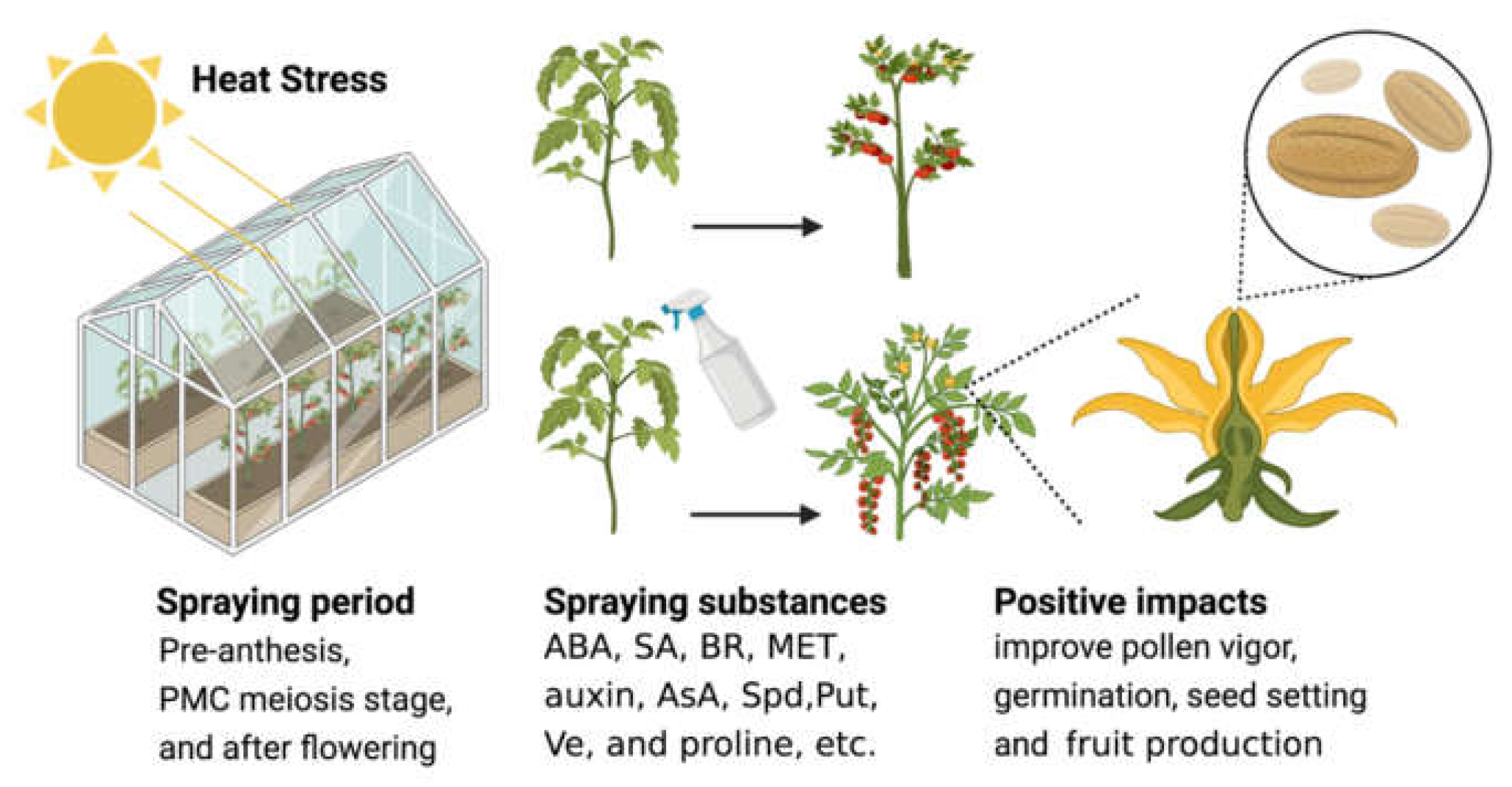 Antioxidants 11 00287 g003