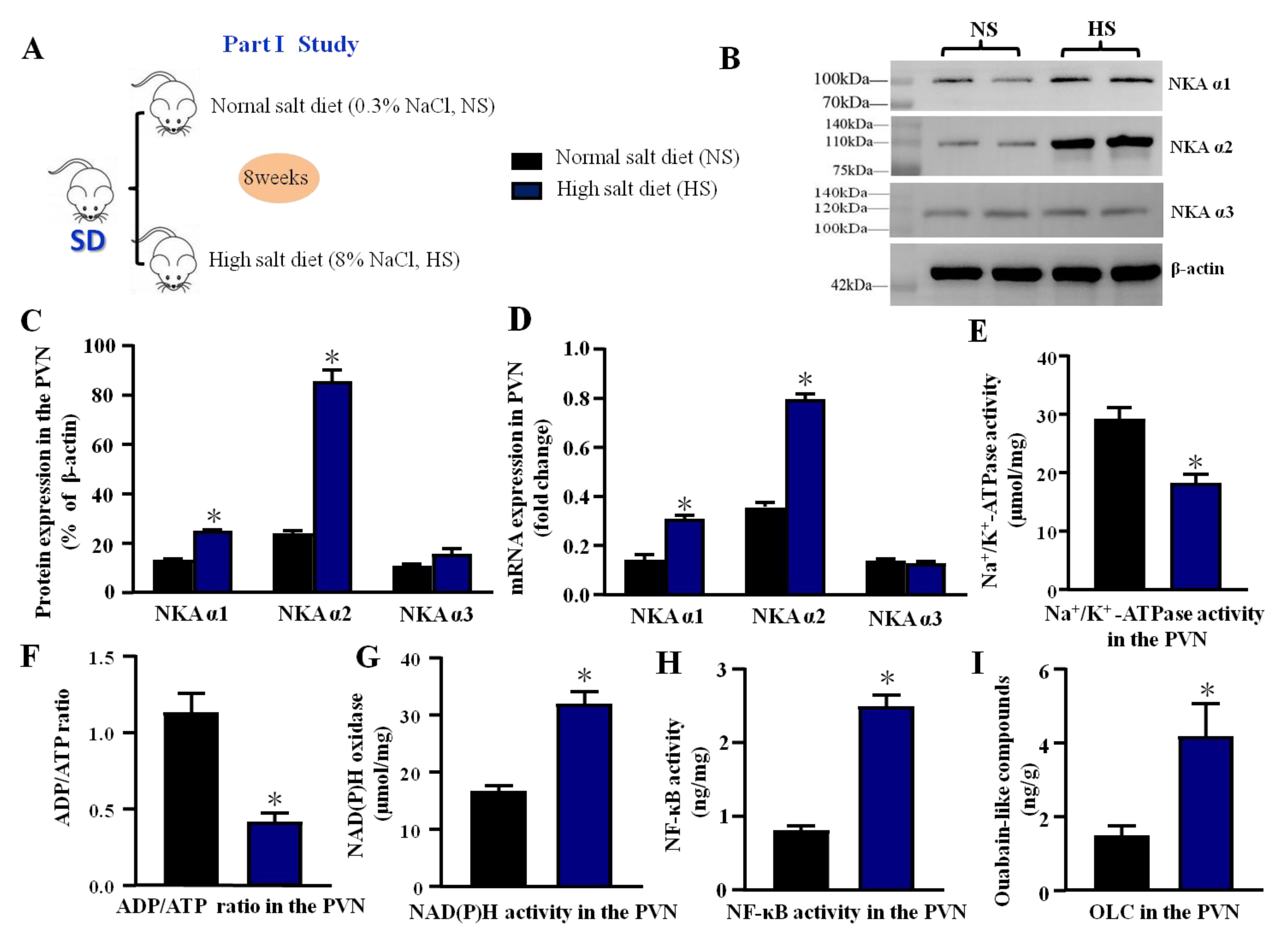 Antioxidants 11 00288 g001
