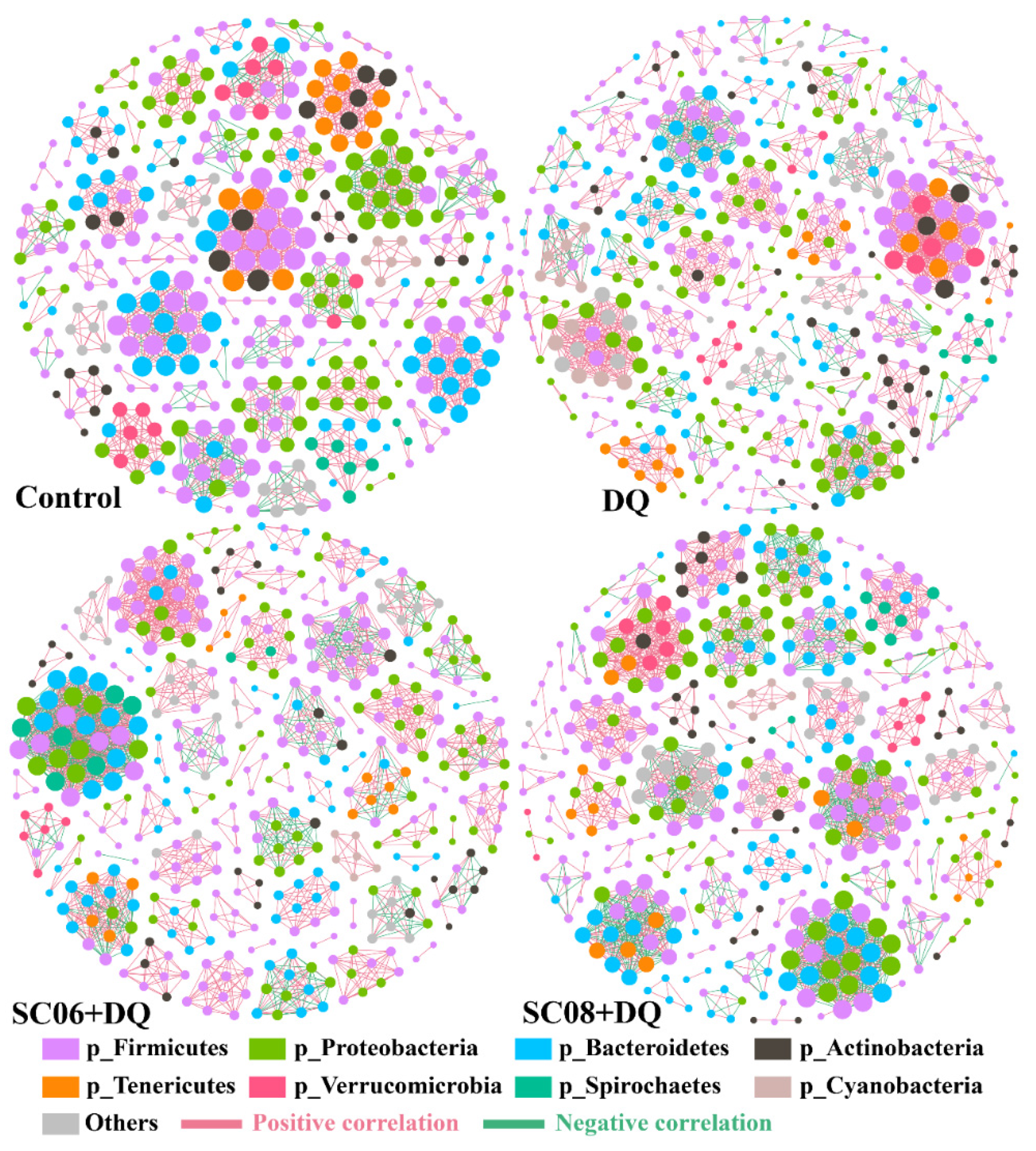 Antioxidants 11 00291 g006 Antioxidants 11 00291 g006