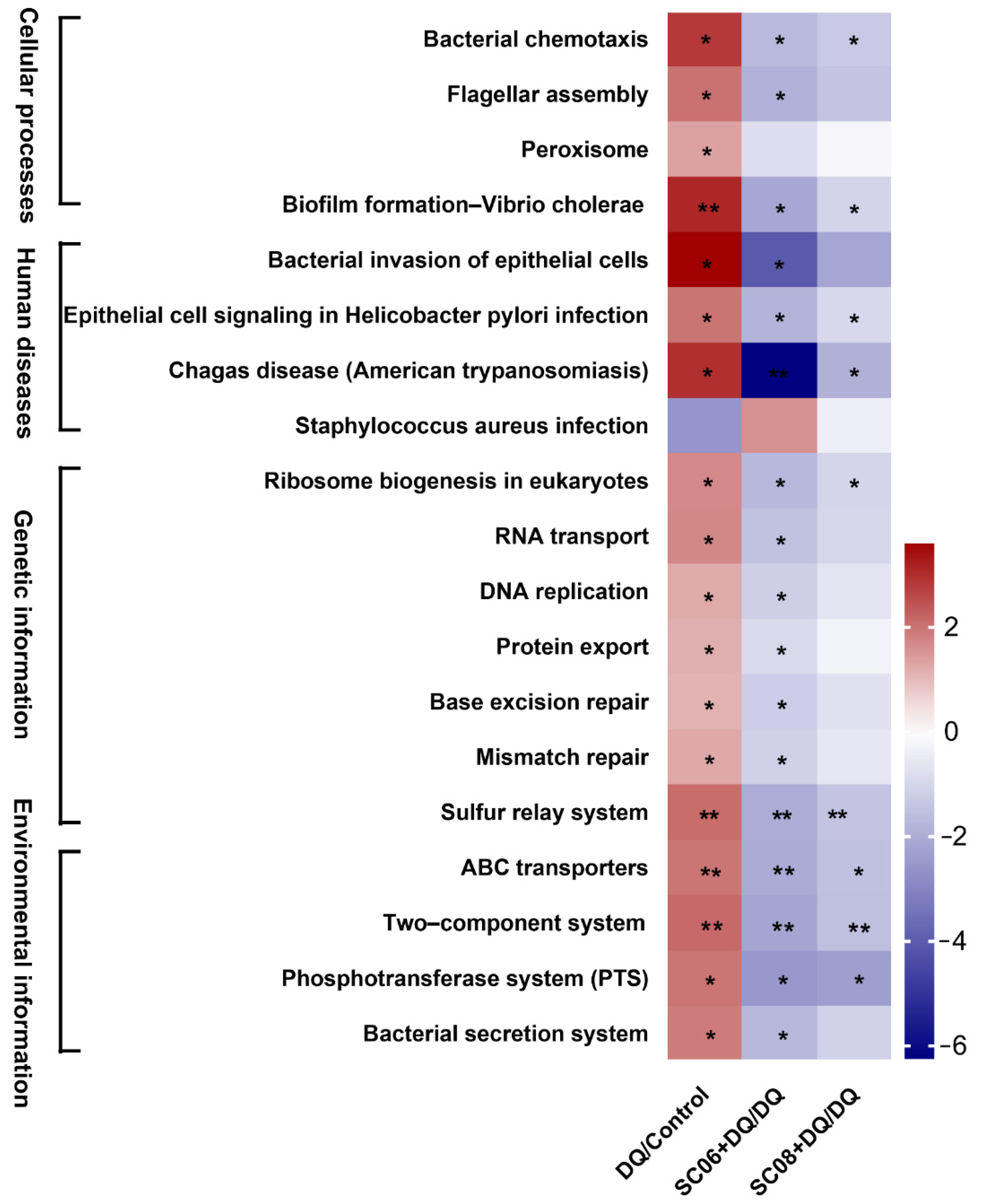 Antioxidants Free FullText Probiotic Bacillus Alleviates Oxidative