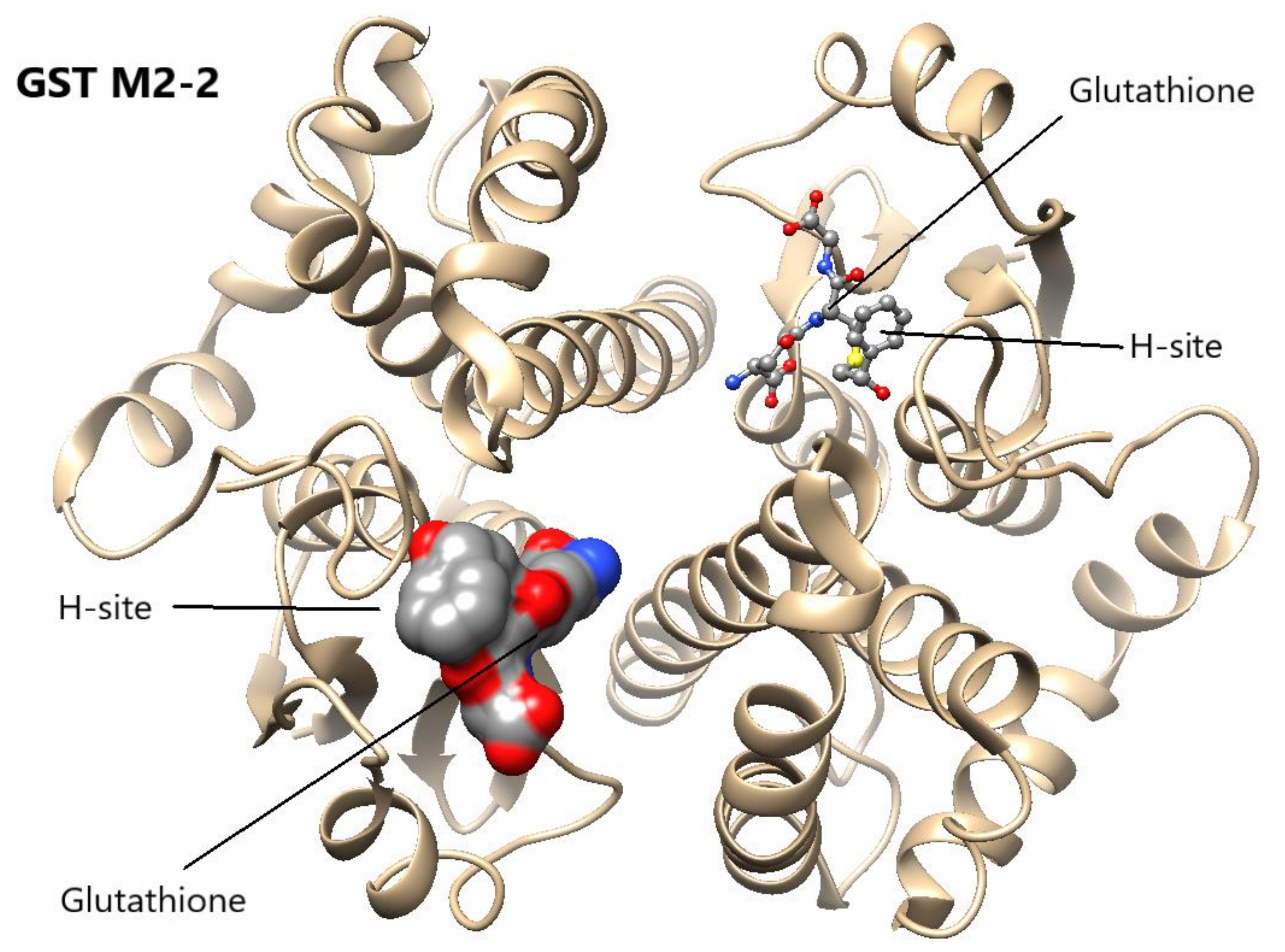 Antioxidants 11 00296 g001