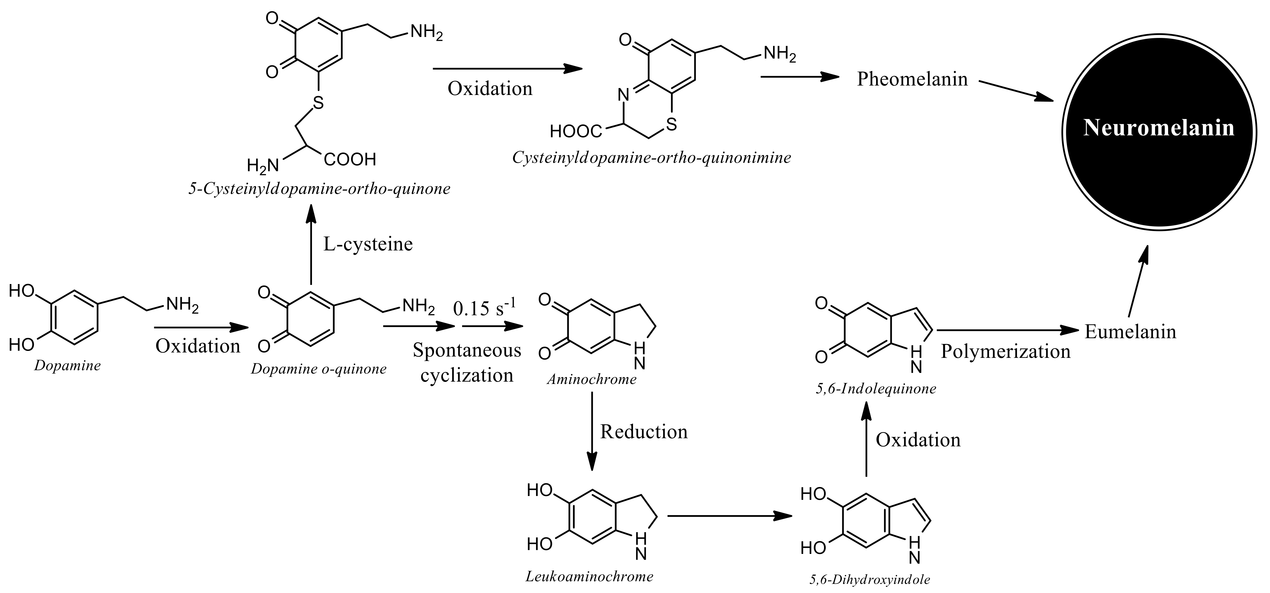 Antioxidants 11 00296 g002