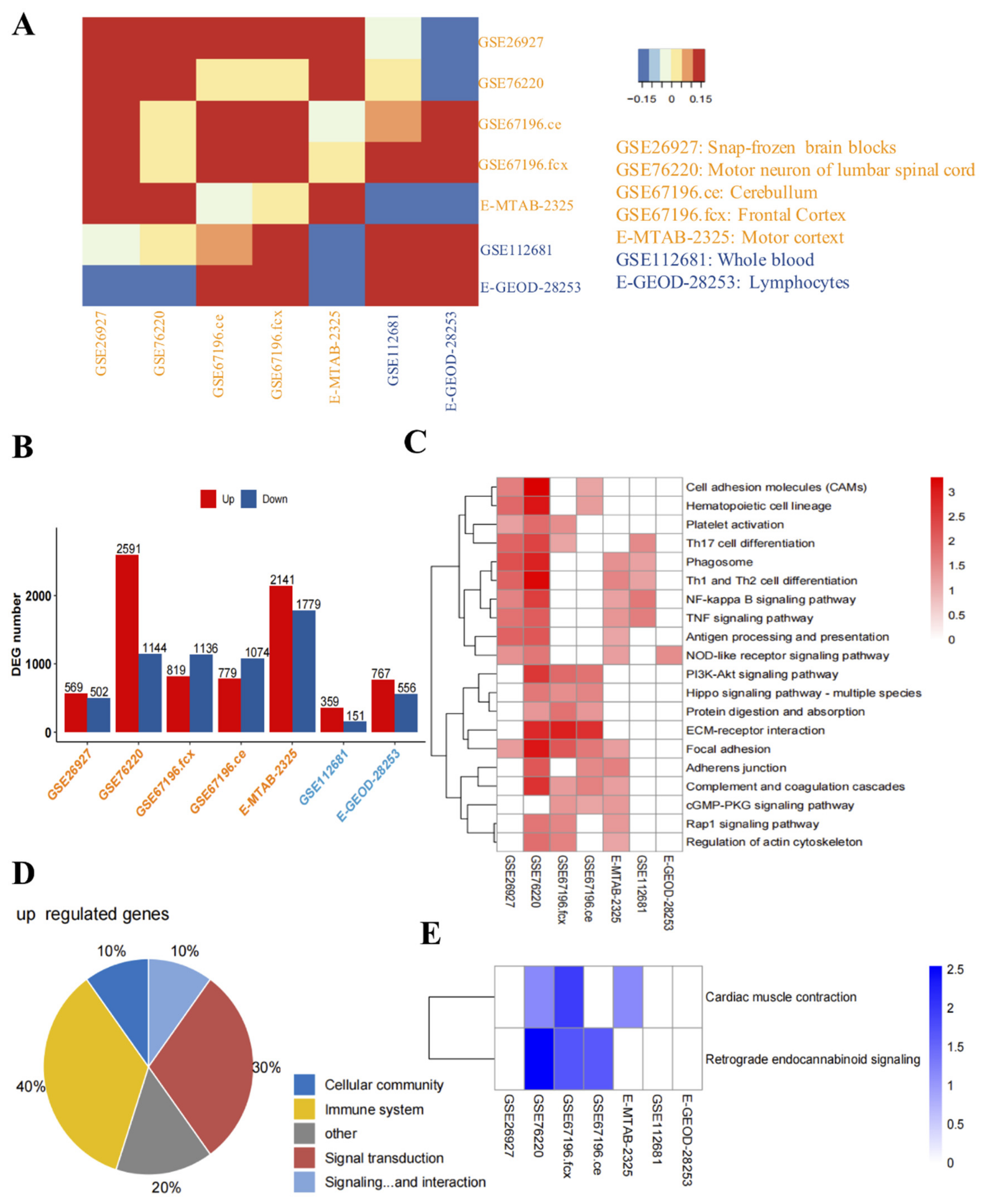 Antioxidants 11 00303 g001 Antioxidants 11 00303 g001