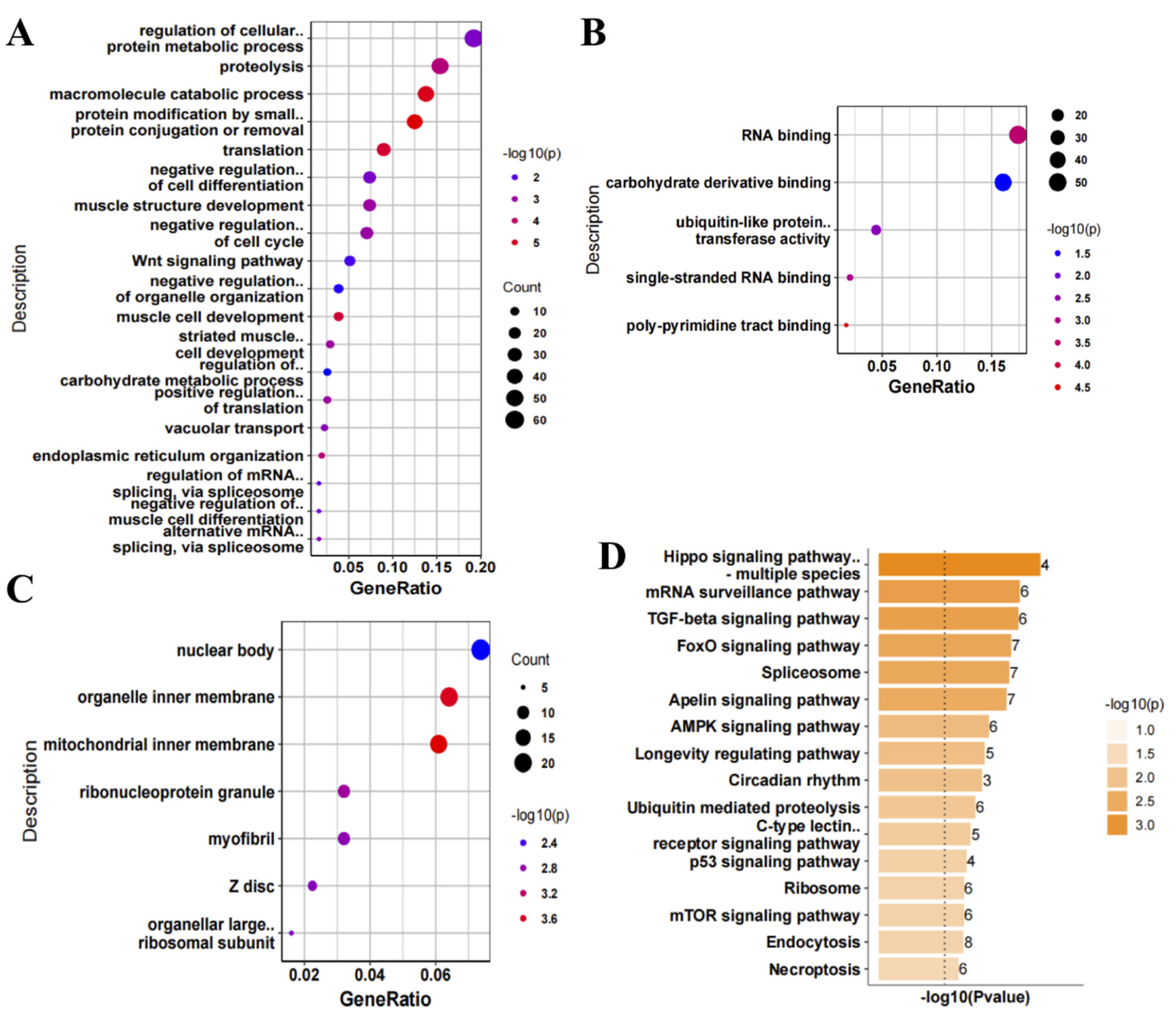Antioxidants 11 00303 g002 Antioxidants 11 00303 g002