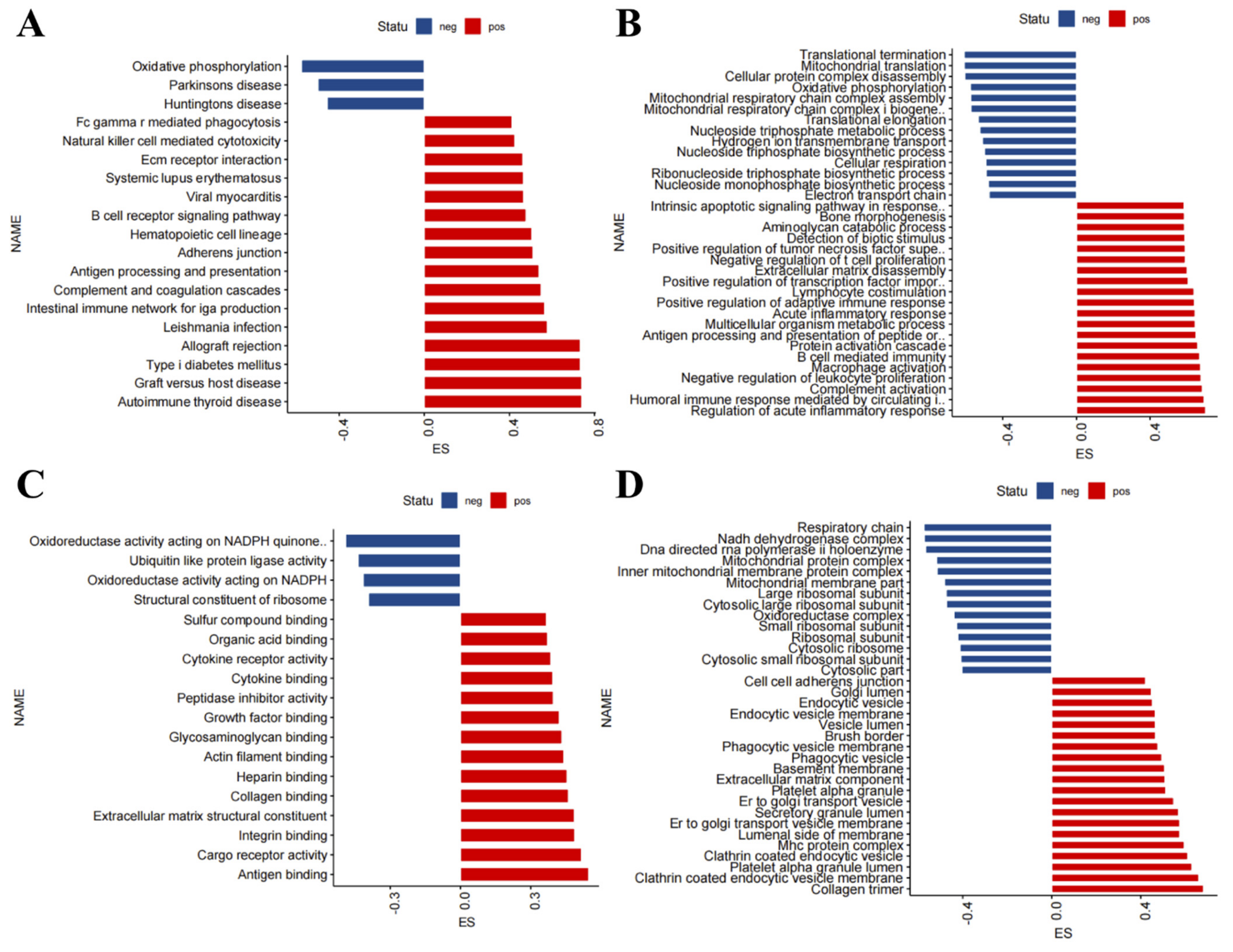 Antioxidants 11 00303 g004 Antioxidants 11 00303 g004