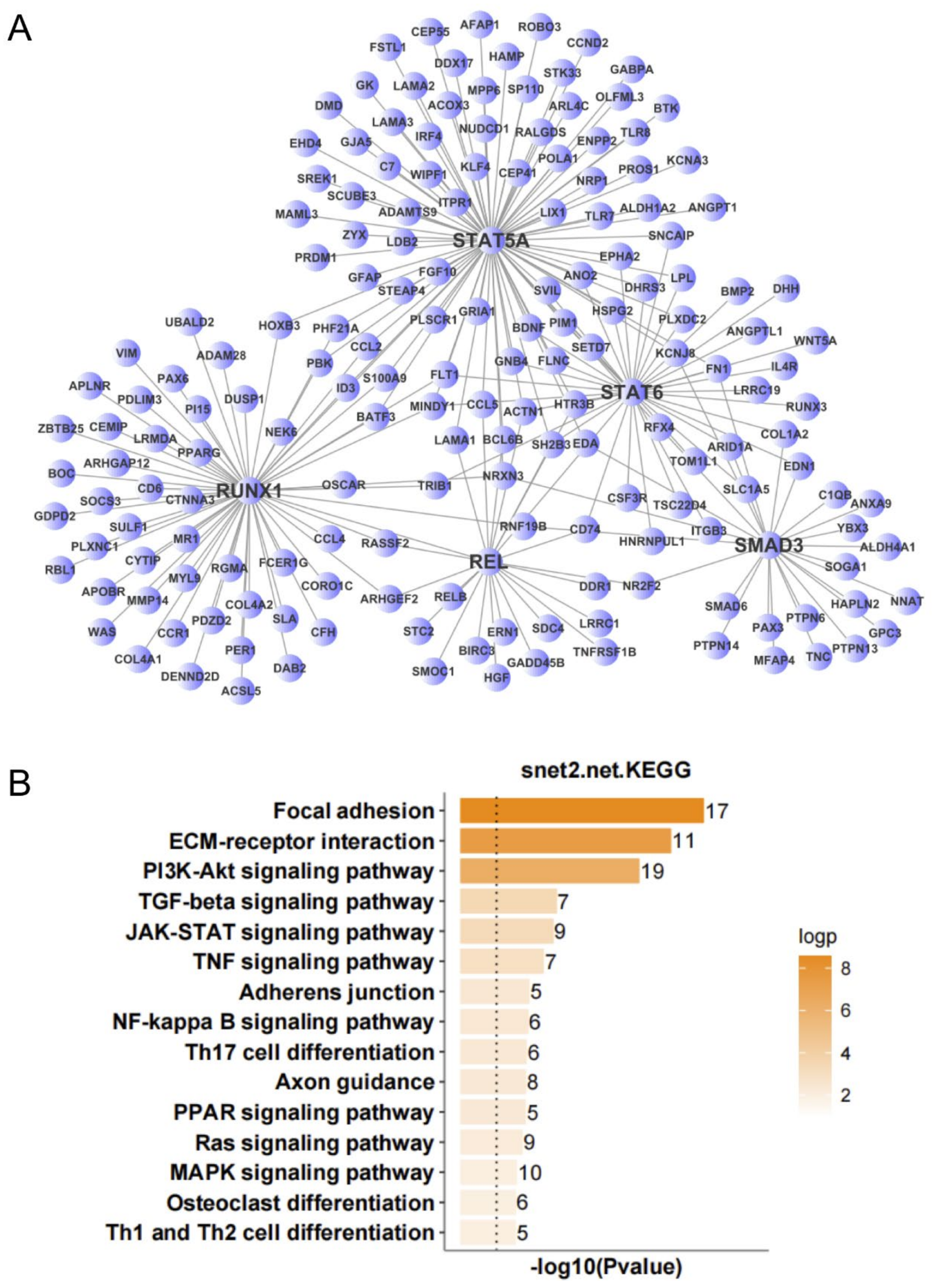 Antioxidants 11 00303 g006 Antioxidants 11 00303 g006