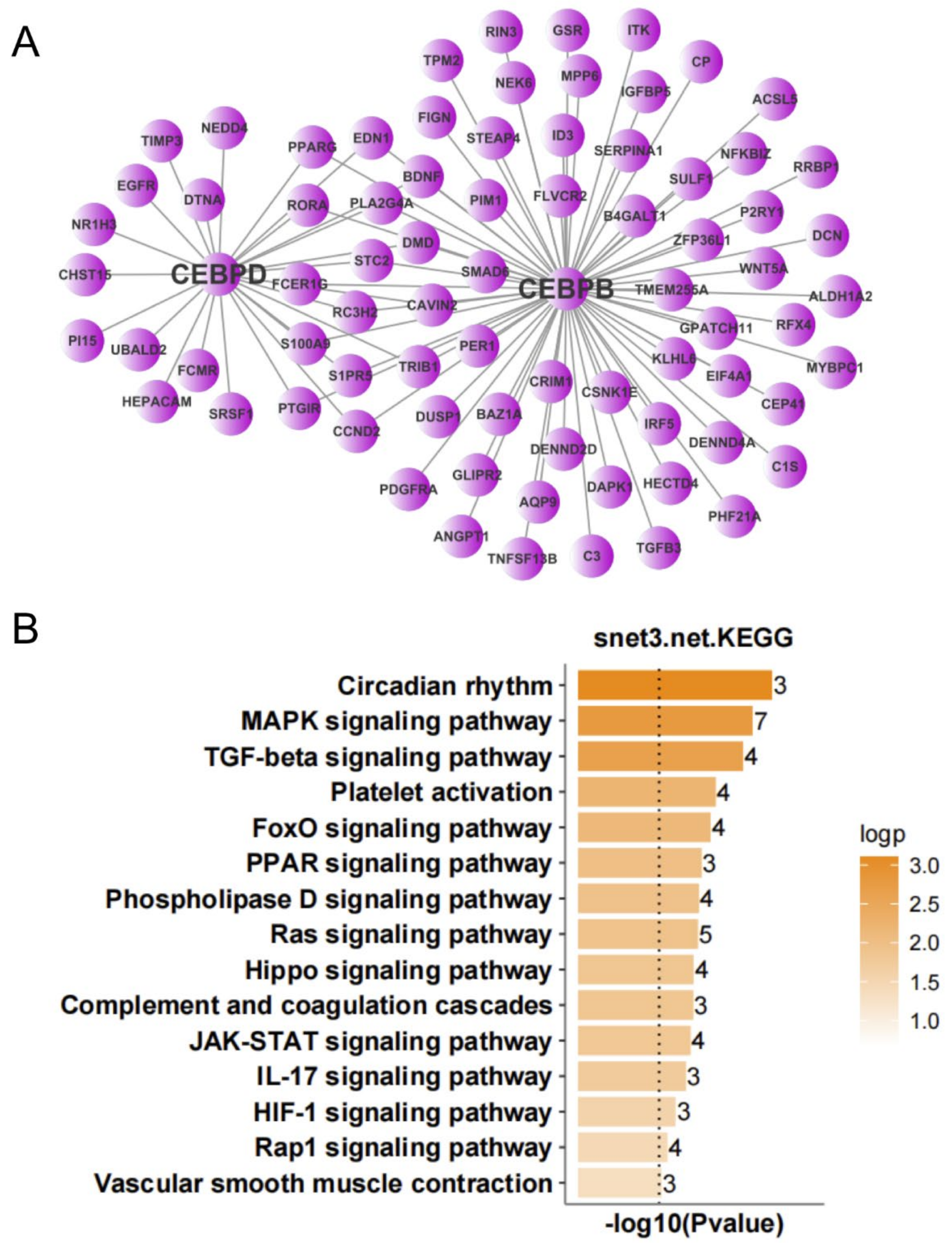 Antioxidants 11 00303 g007 Antioxidants 11 00303 g007