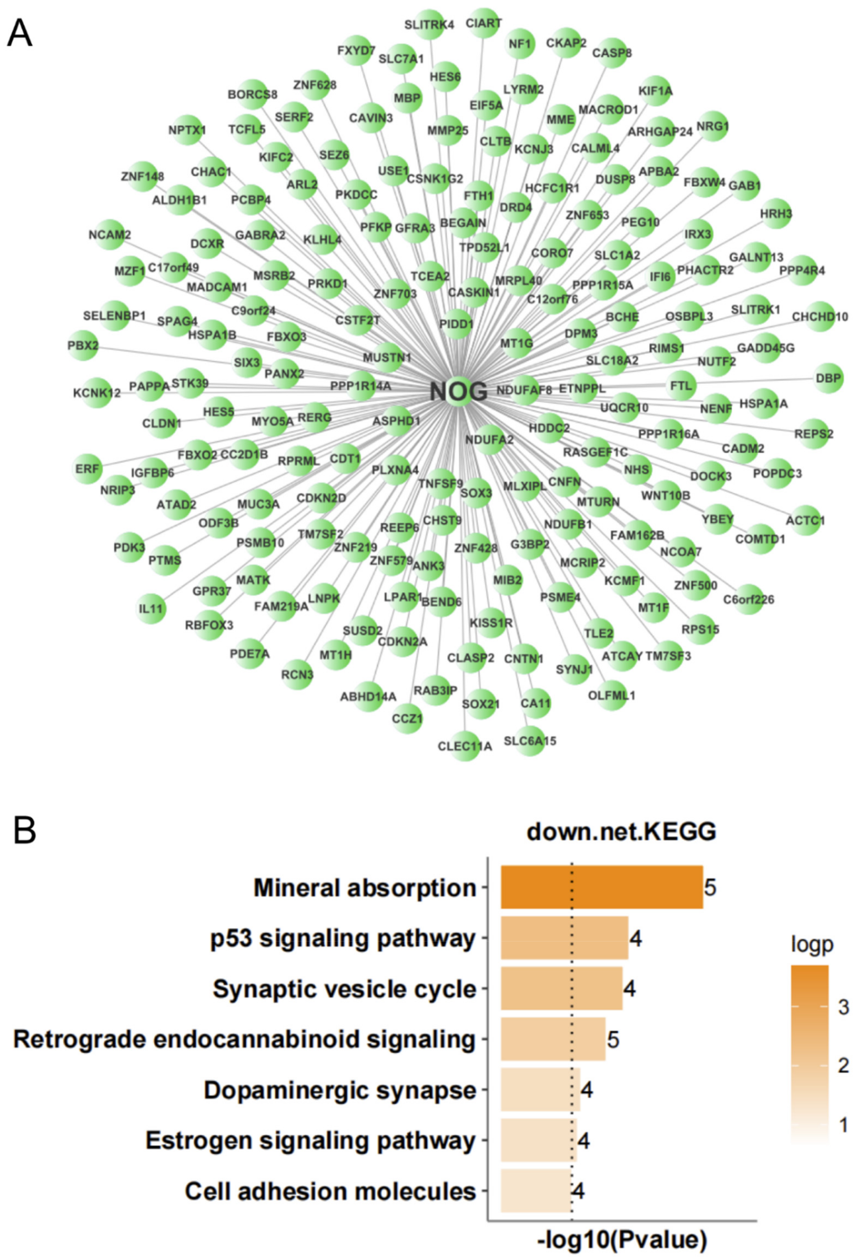 Antioxidants 11 00303 g009 Antioxidants 11 00303 g009