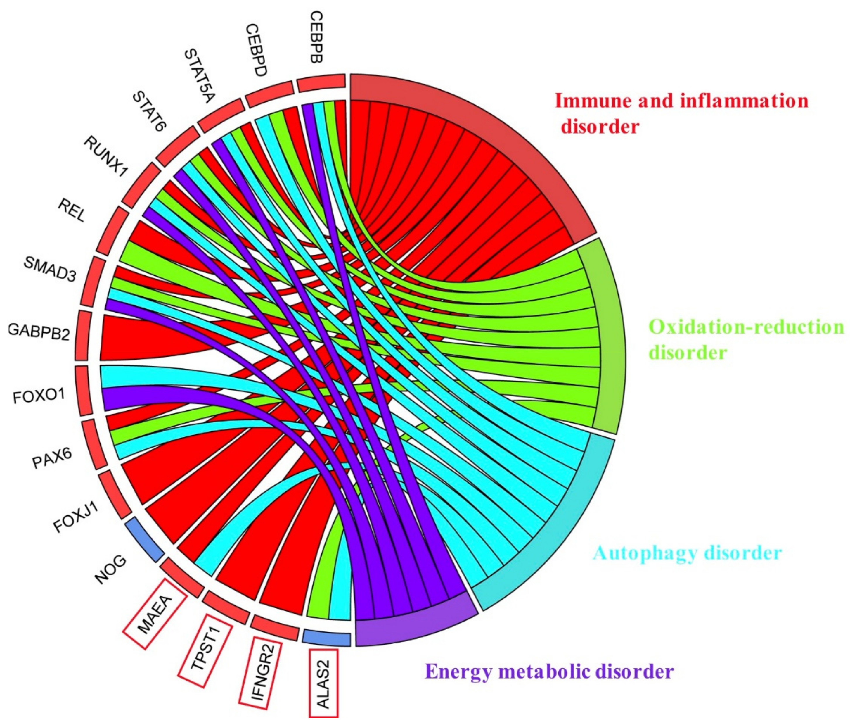 Antioxidants 11 00303 g012 Antioxidants 11 00303 g012