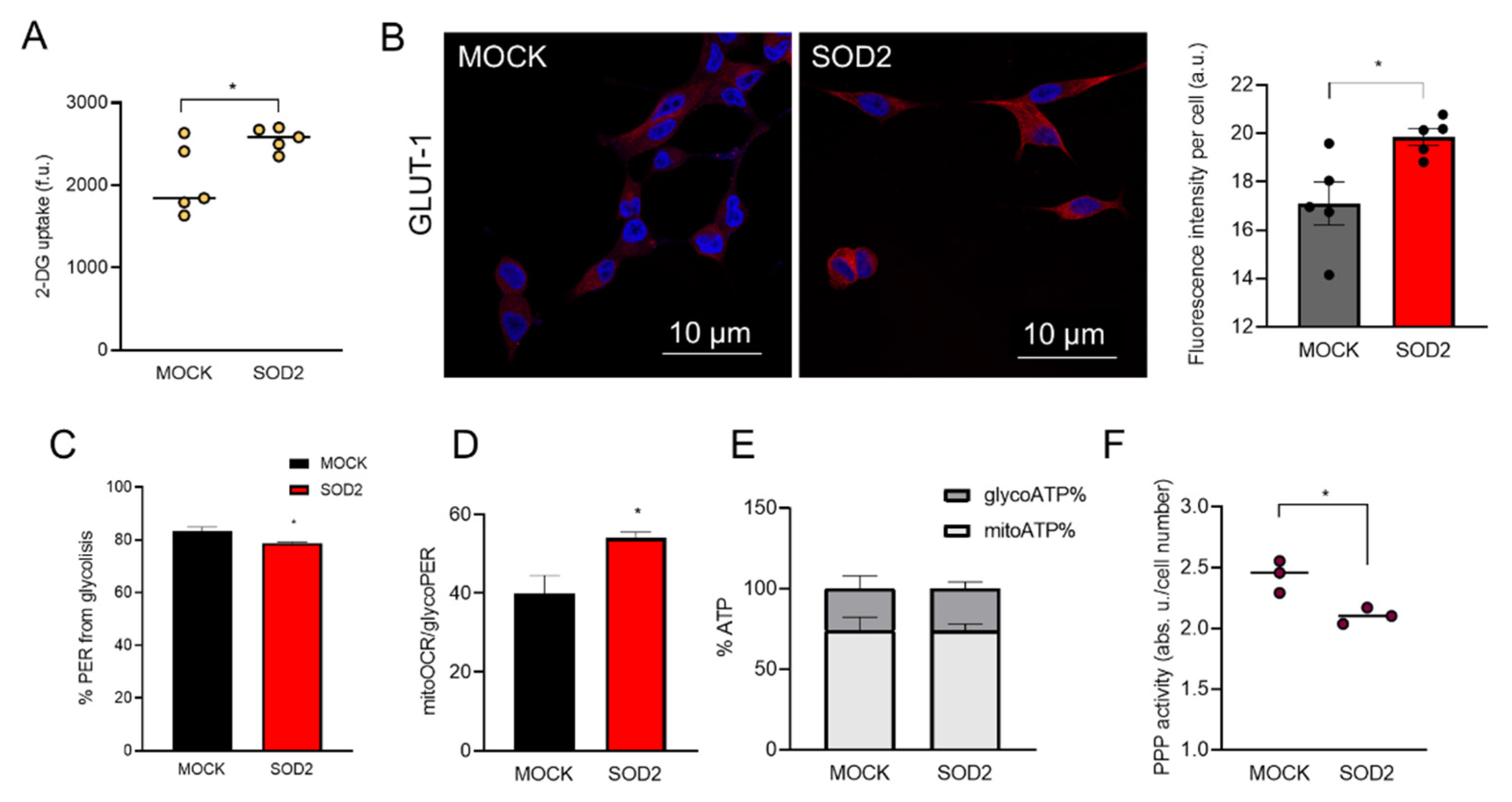 Antioxidants 11 00313 g001