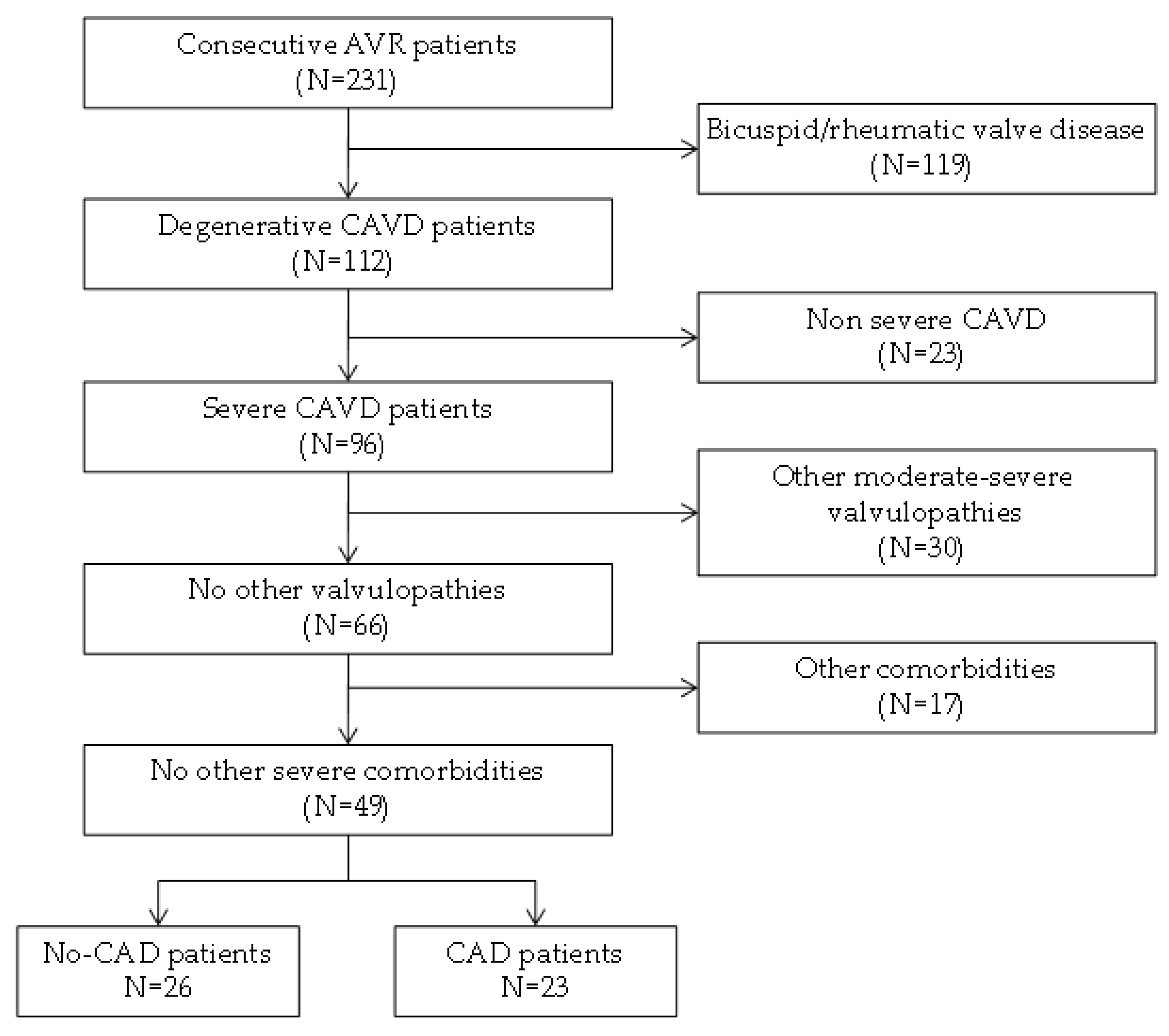 Antioxidants 11 00317 g001 Antioxidants 11 00317 g001
