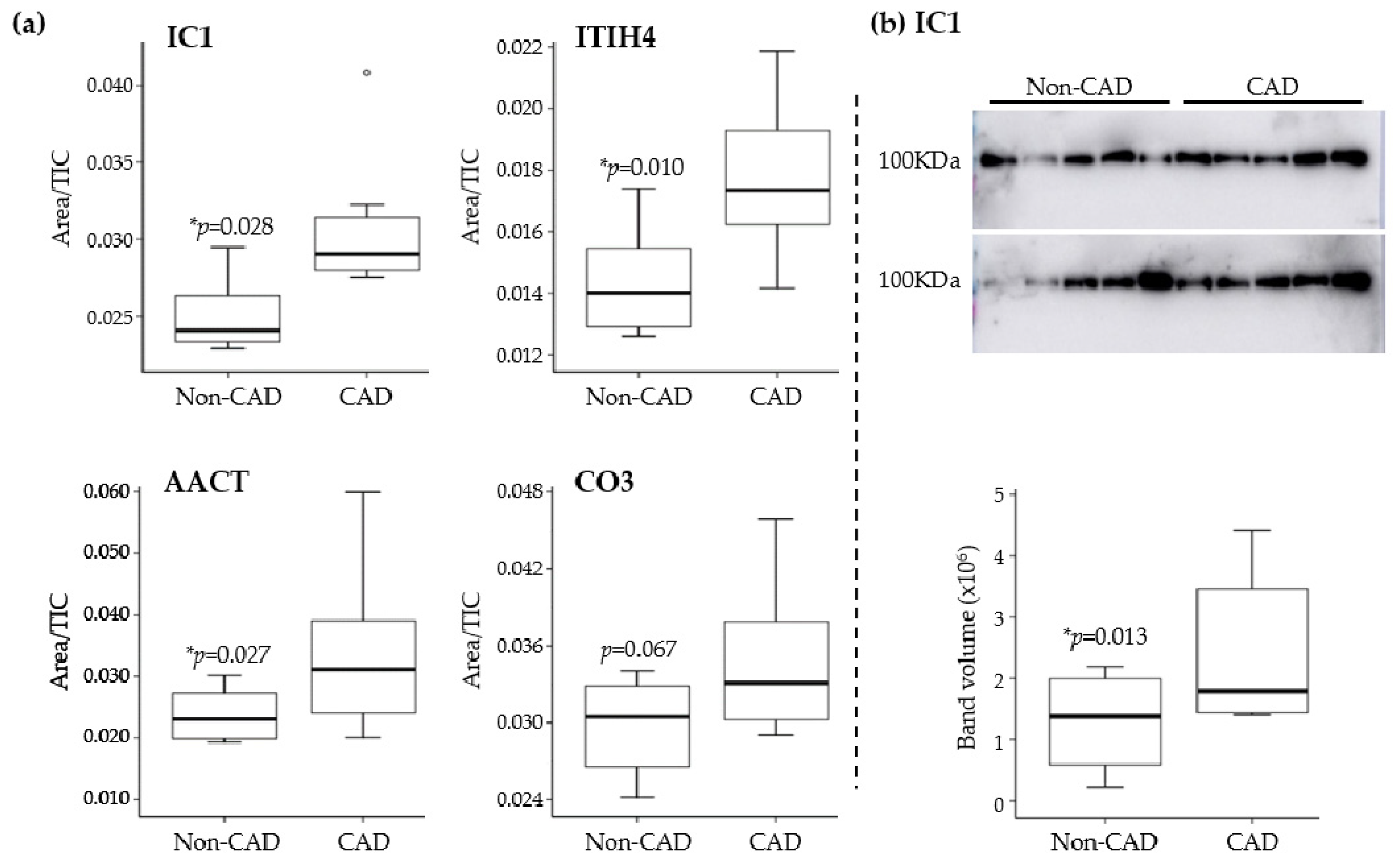 Antioxidants 11 00317 g003 Antioxidants 11 00317 g003