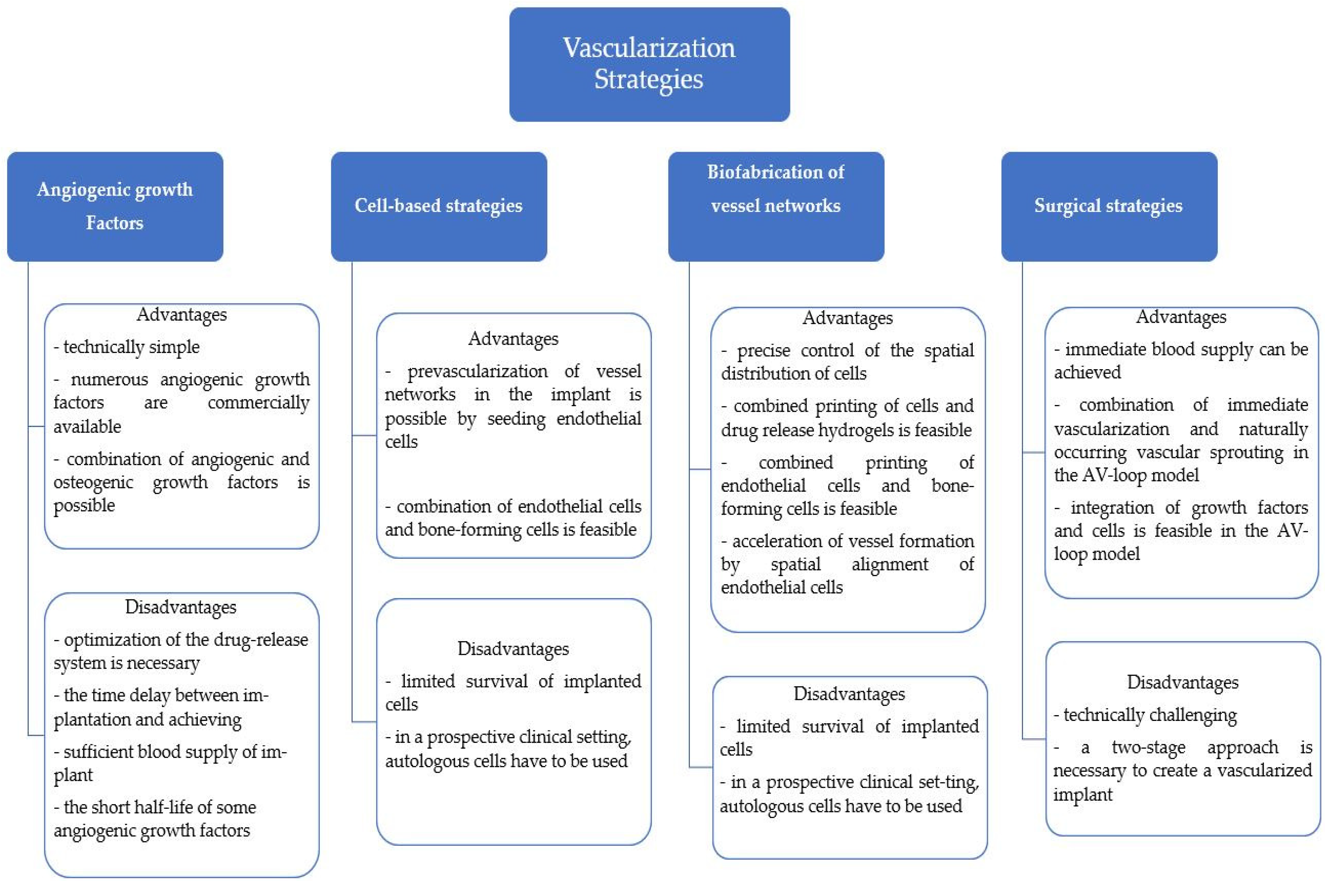 Antioxidants Free FullText Bone Regeneration and Oxidative Stress