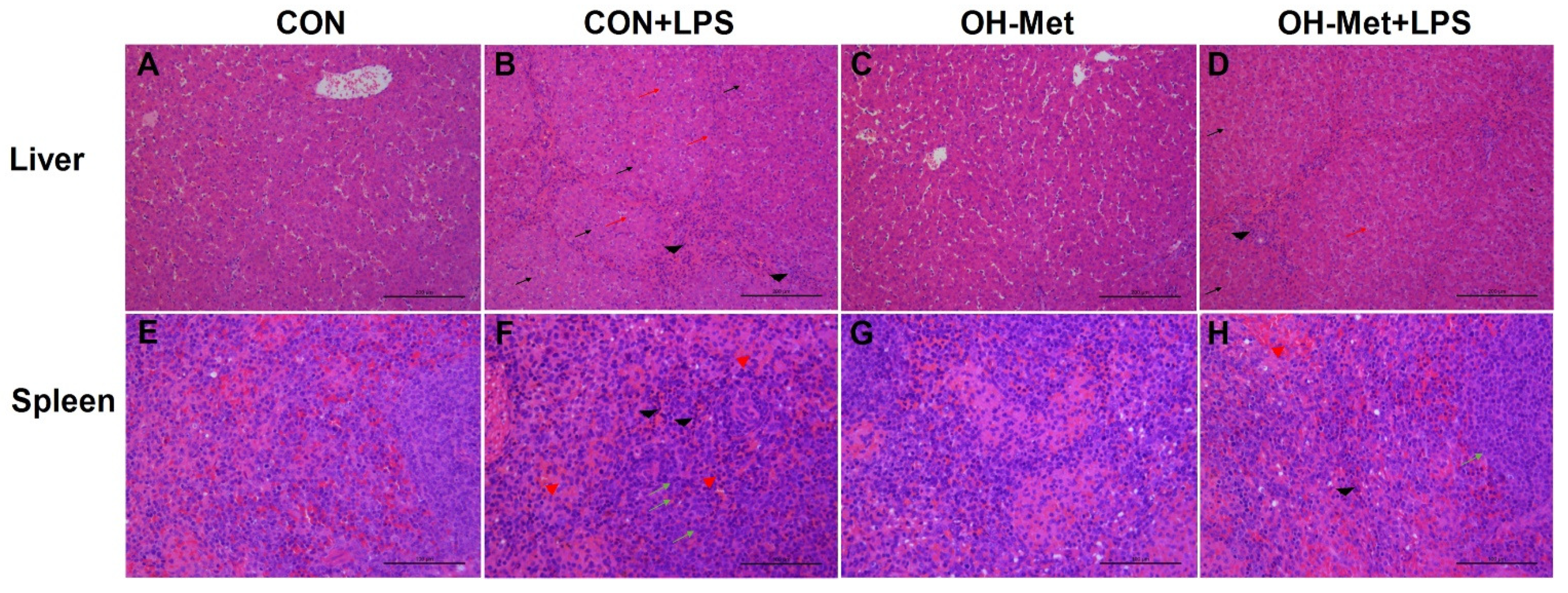 Antioxidants 11 00321 g001 550