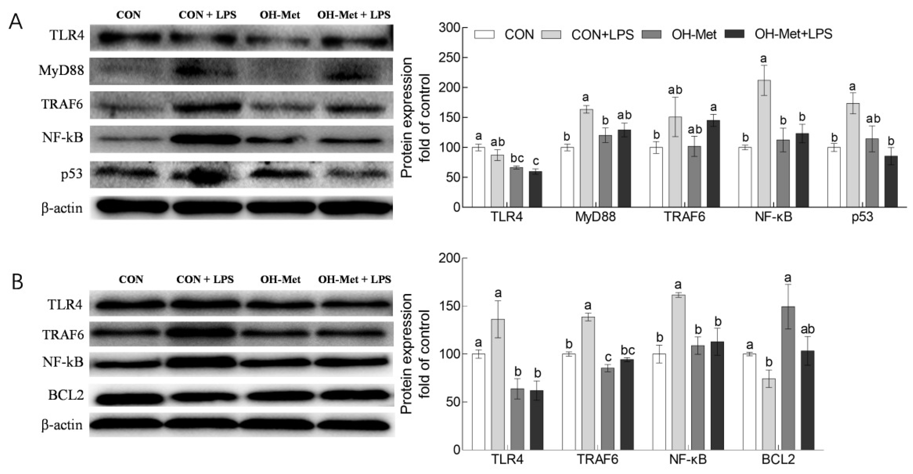Antioxidants 11 00321 g004 550