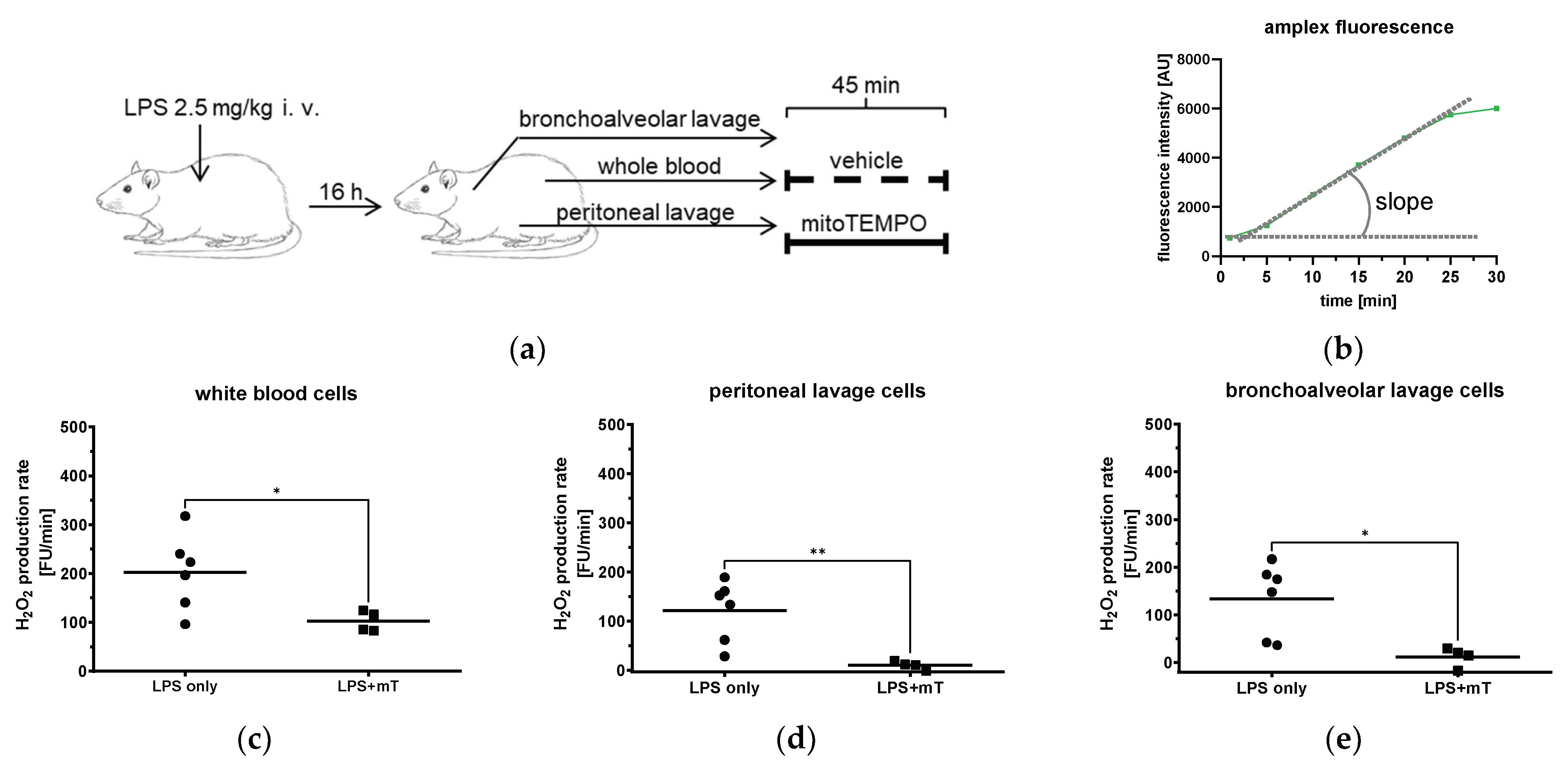 Antioxidants 11 00323 g001 550