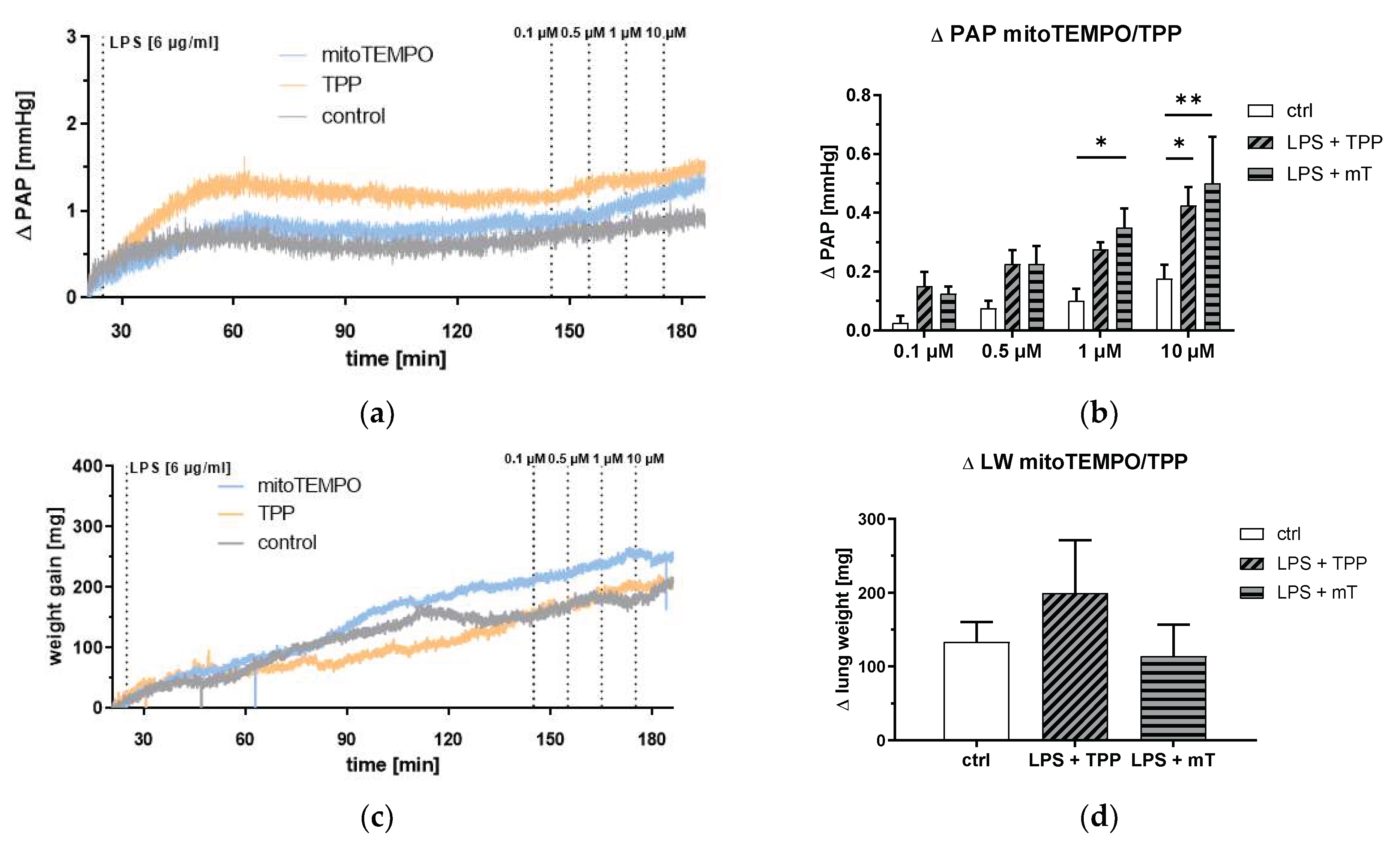 Antioxidants 11 00323 g006 550