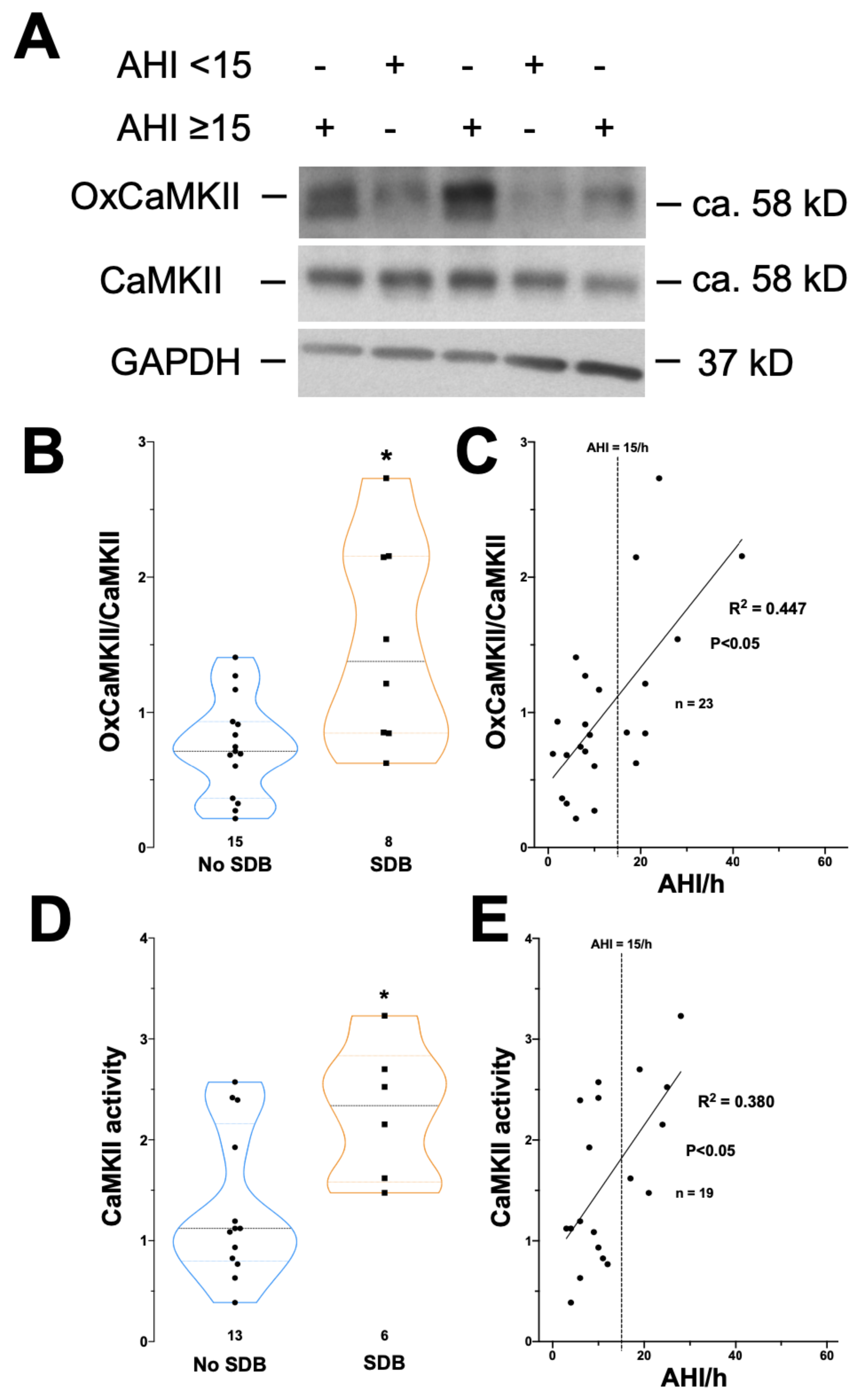 Antioxidants 11 00331 g002