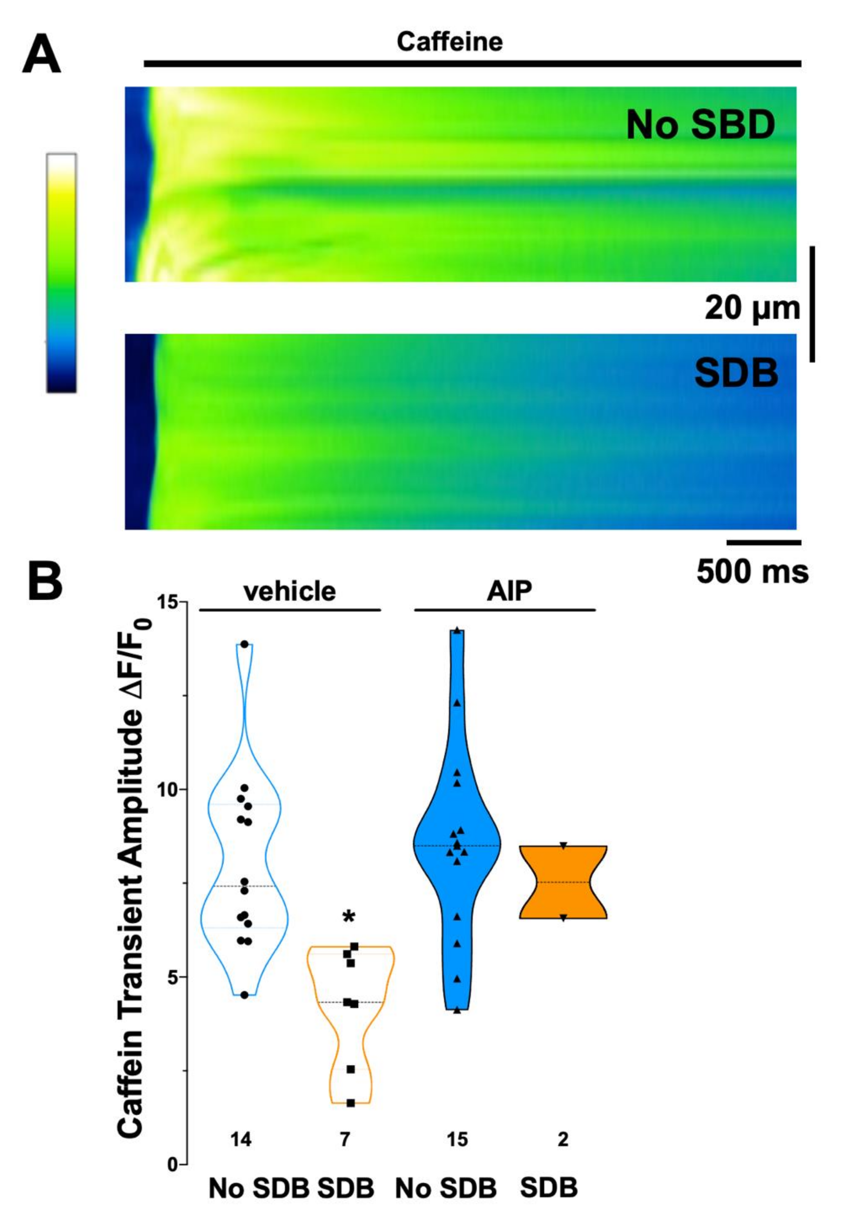 Antioxidants 11 00331 g004
