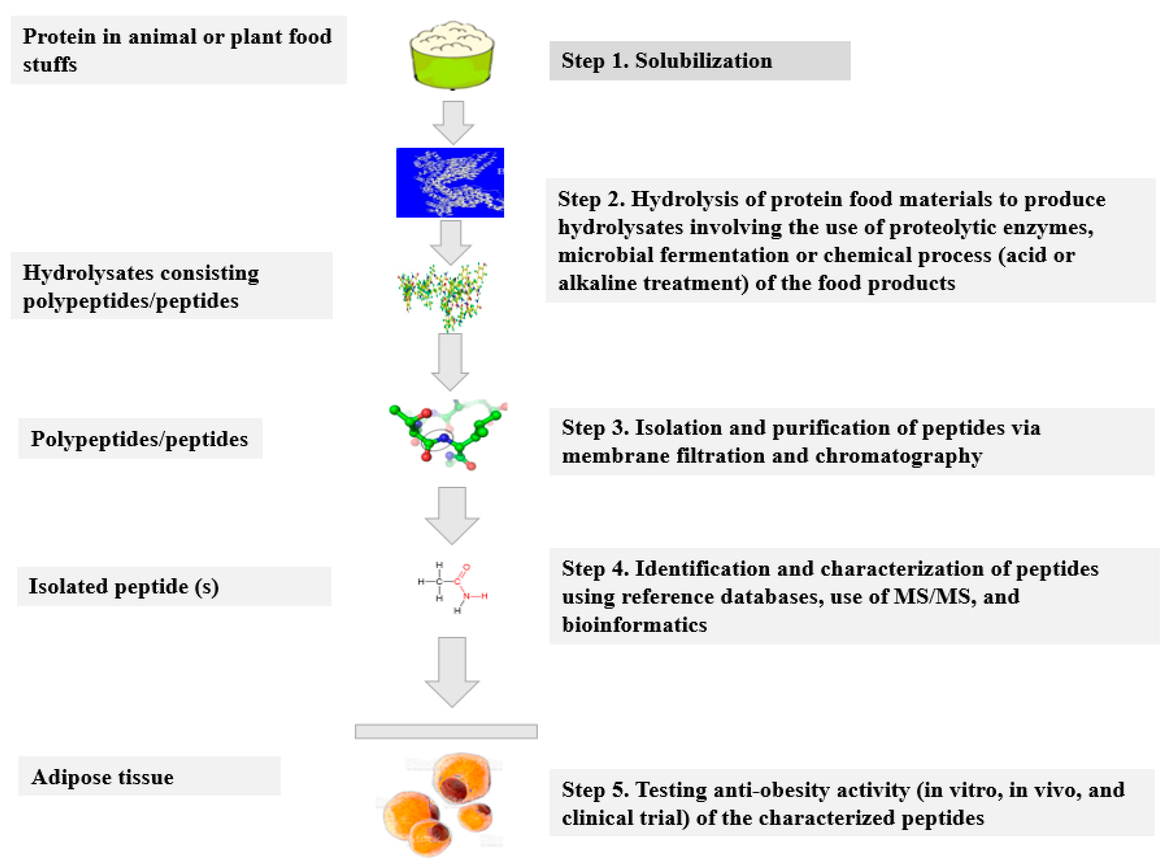 Antioxidants 11 00333 g002 550