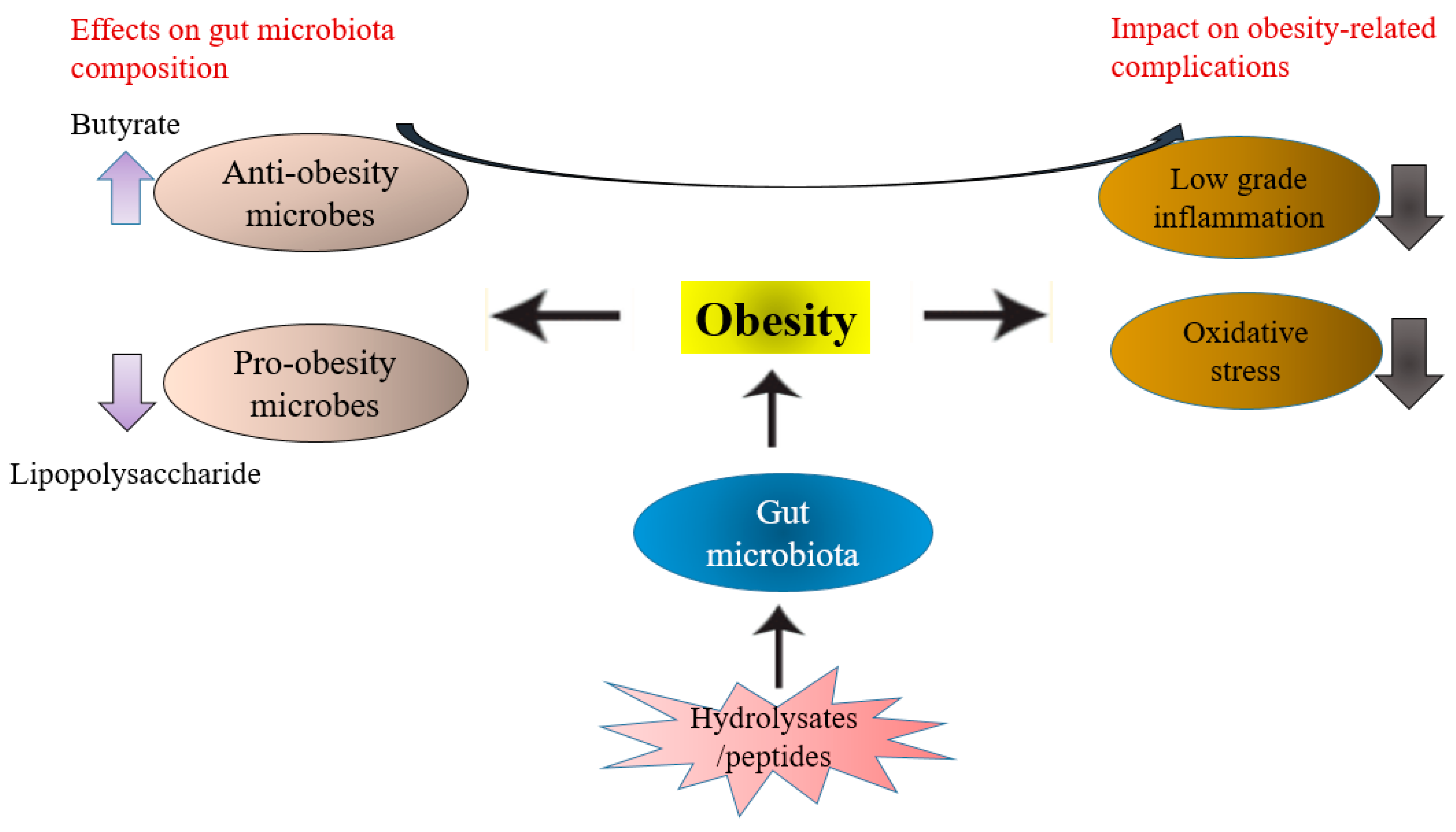 Antioxidants 11 00333 g003 550