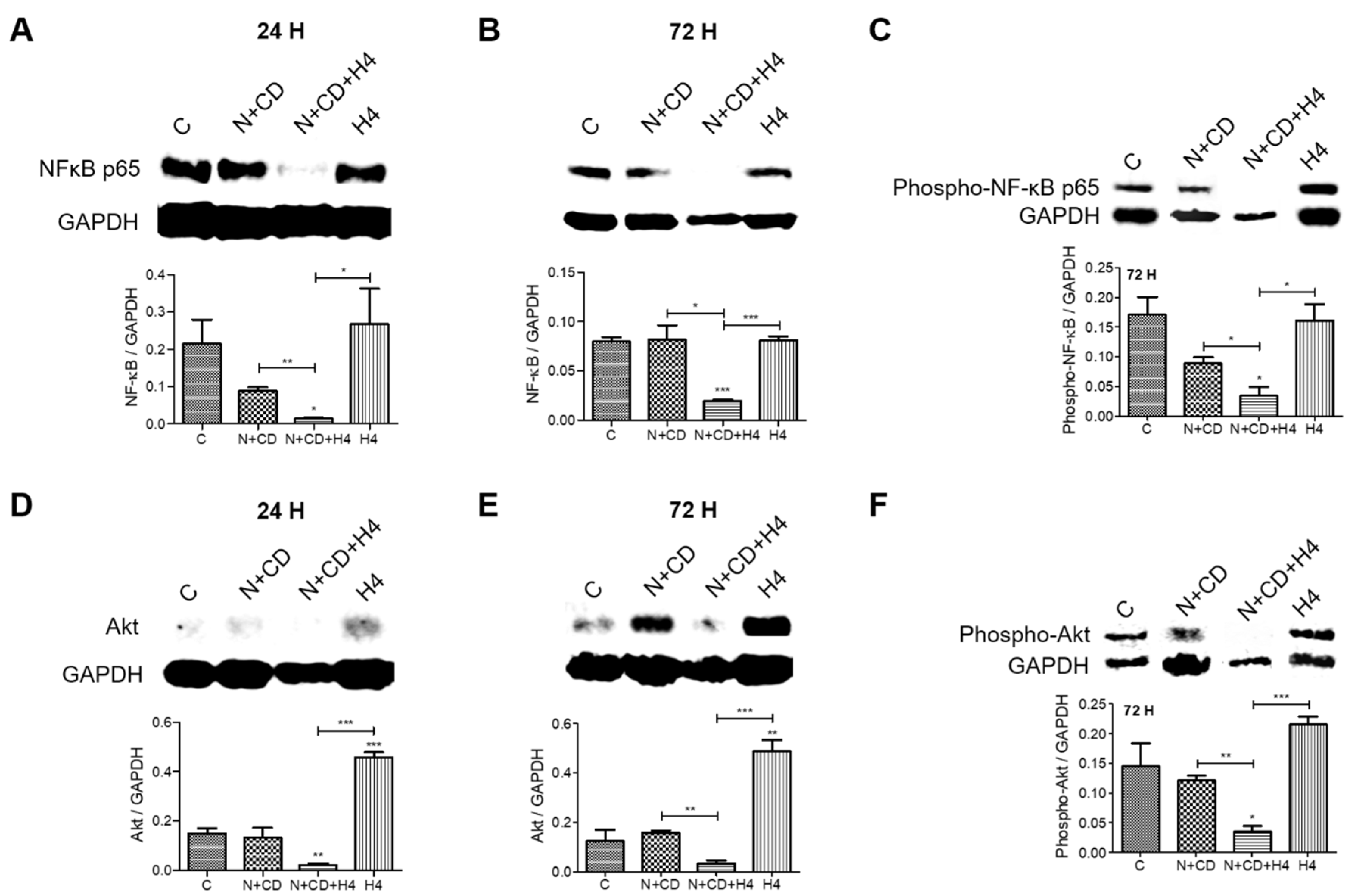 Antioxidants 11 00341 g006 Antioxidants 11 00341 g006