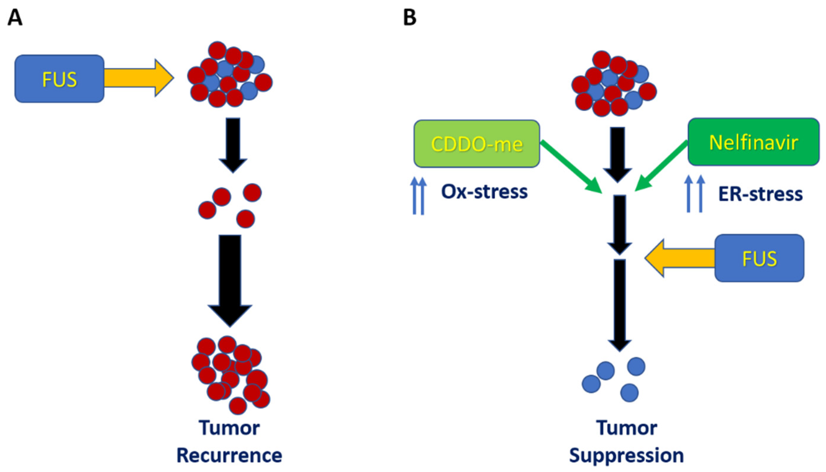 Antioxidants 11 00341 g007 Antioxidants 11 00341 g007