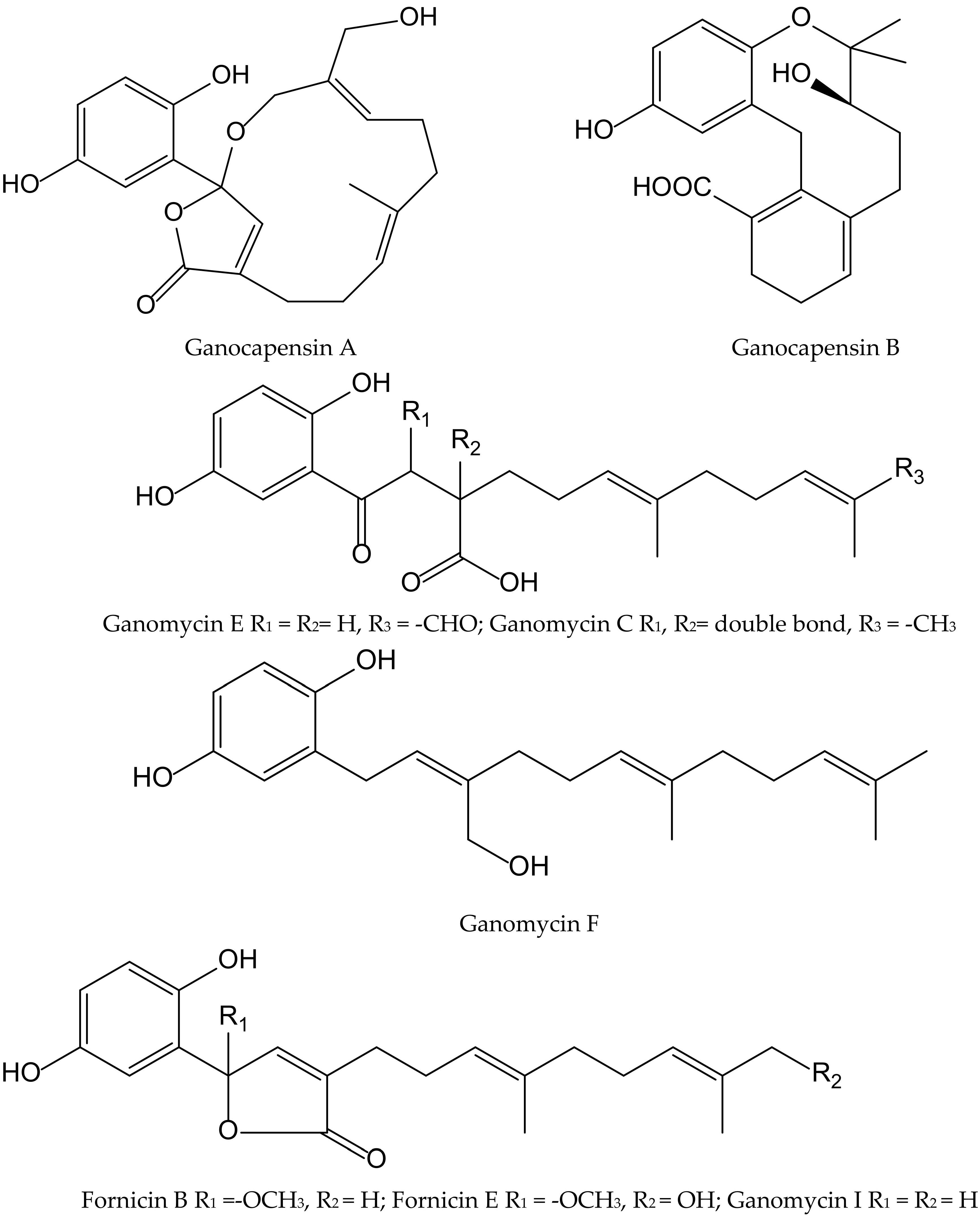 Antioxidants 11 00343 g011 Antioxidants 11 00343 g011